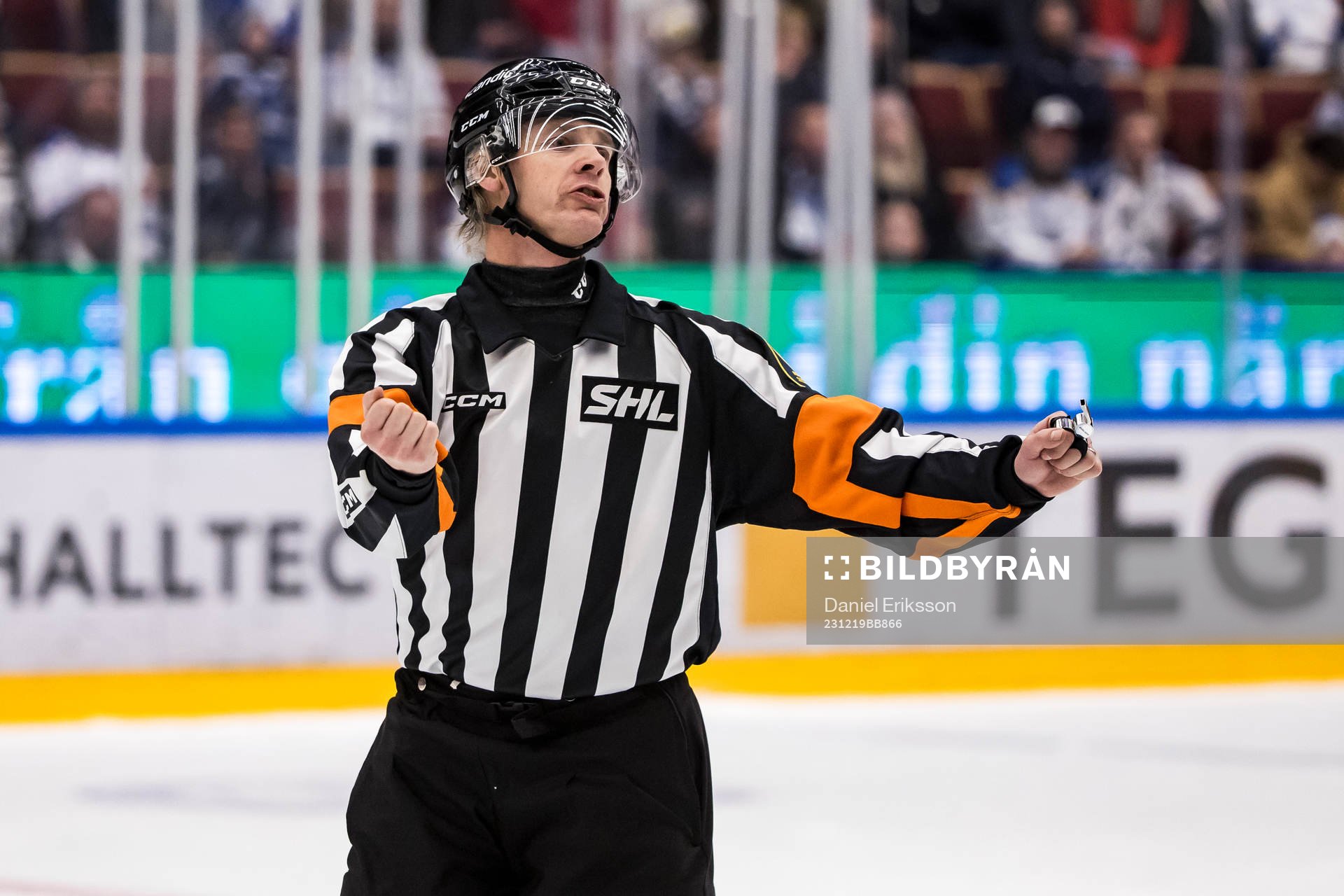 Domare Mikael Andersson