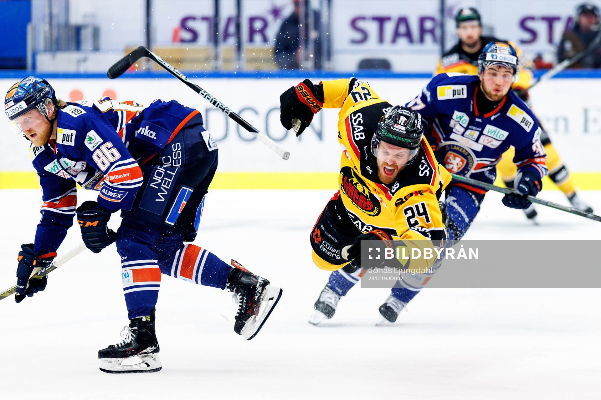 This picture is part of Bildbyrån’s selection of best