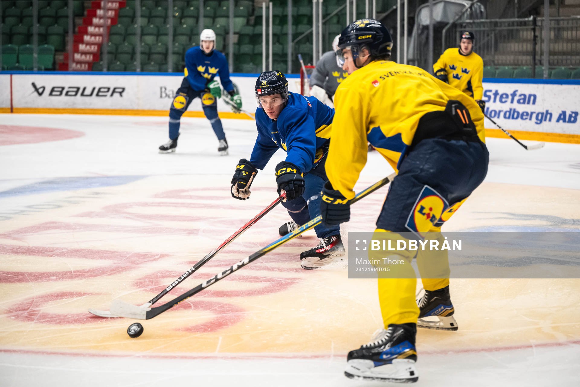 Tom Willander of the Swedish under-20 national ice hockey