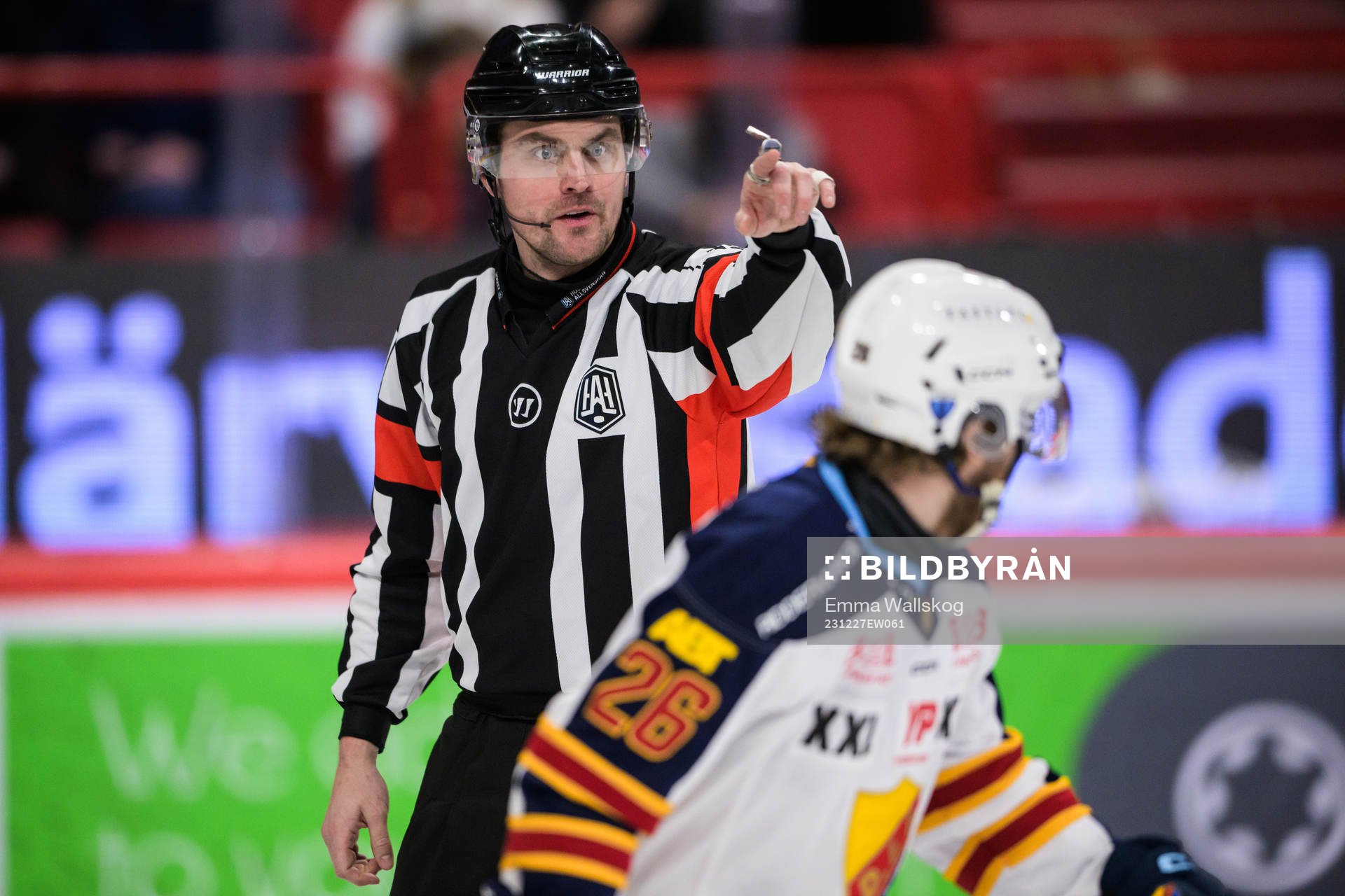 Domare Jesper Karlsson och Djurgårdens Emil Berglund