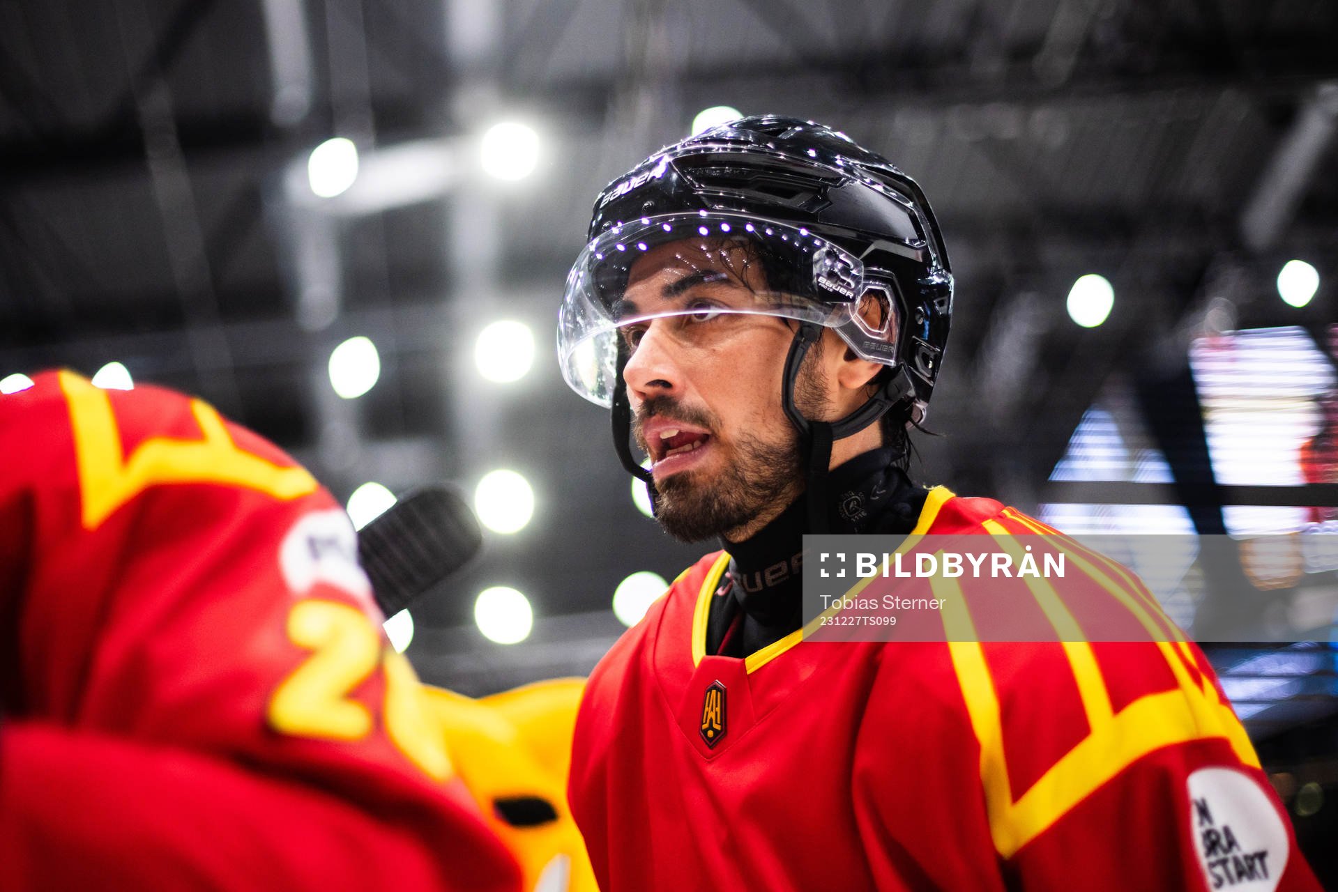 Brynäs Tyler Vesel