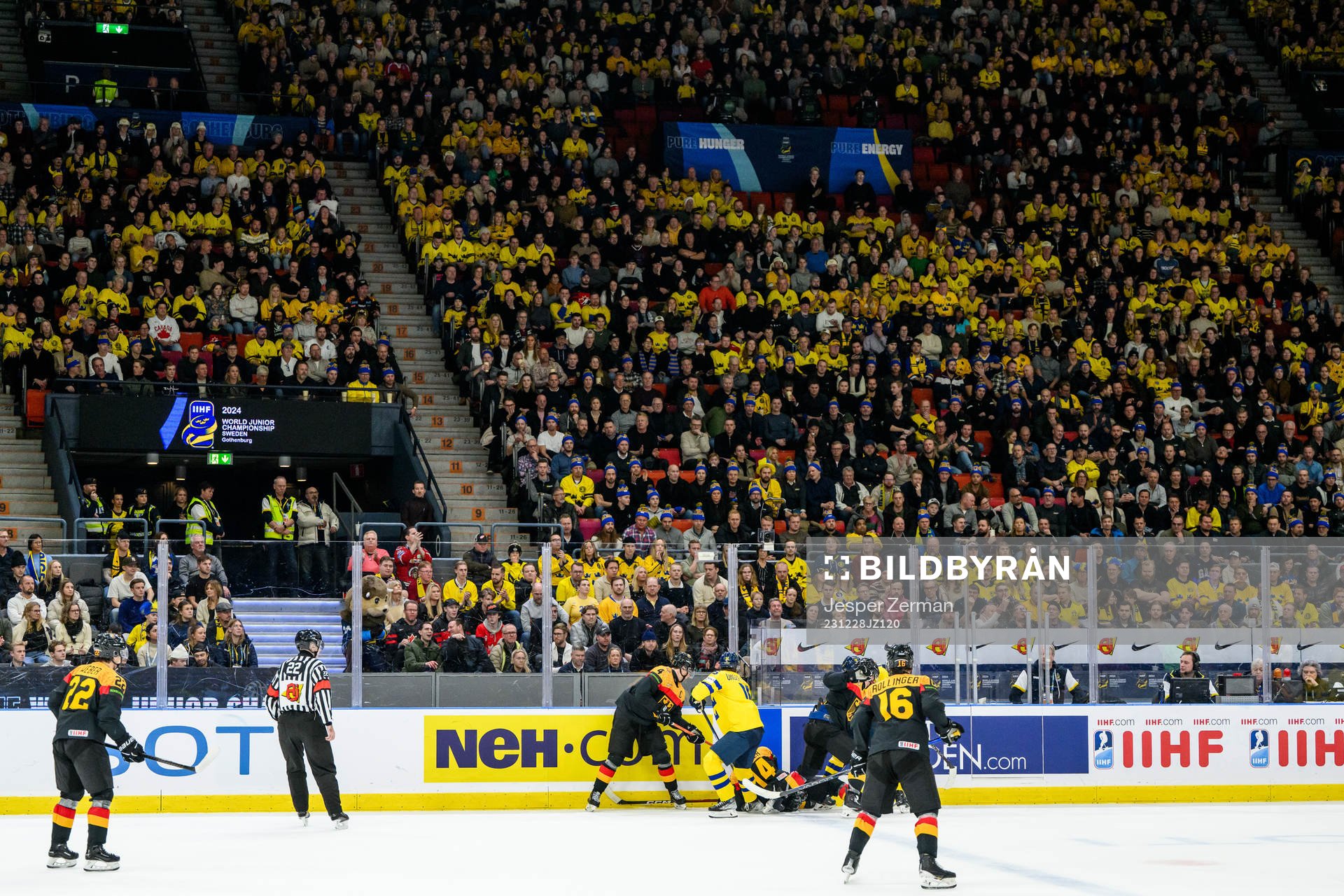 Fans in the stands