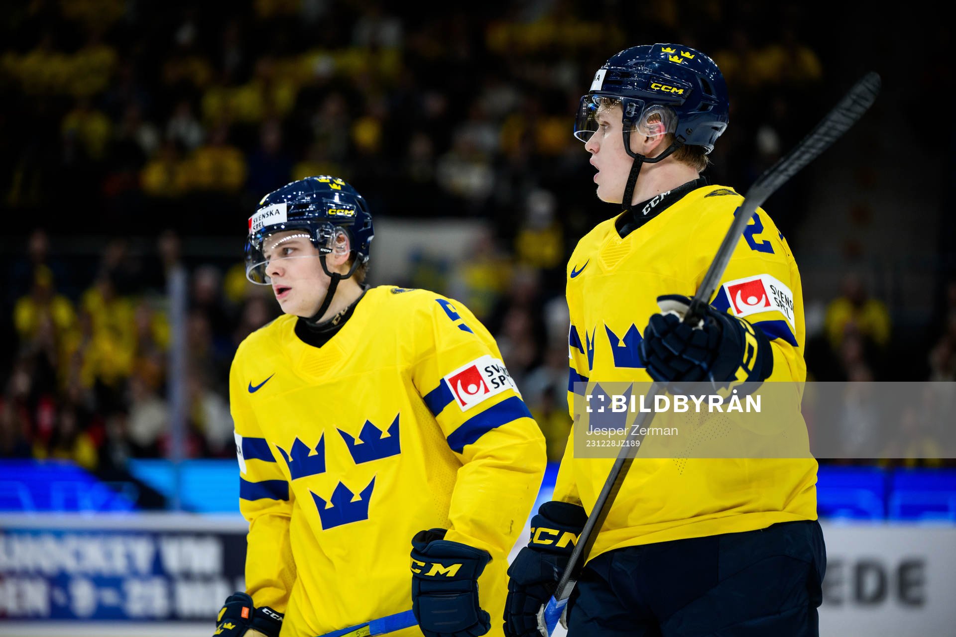 Mattias Hävelid and Elias Pettersson of Sweden