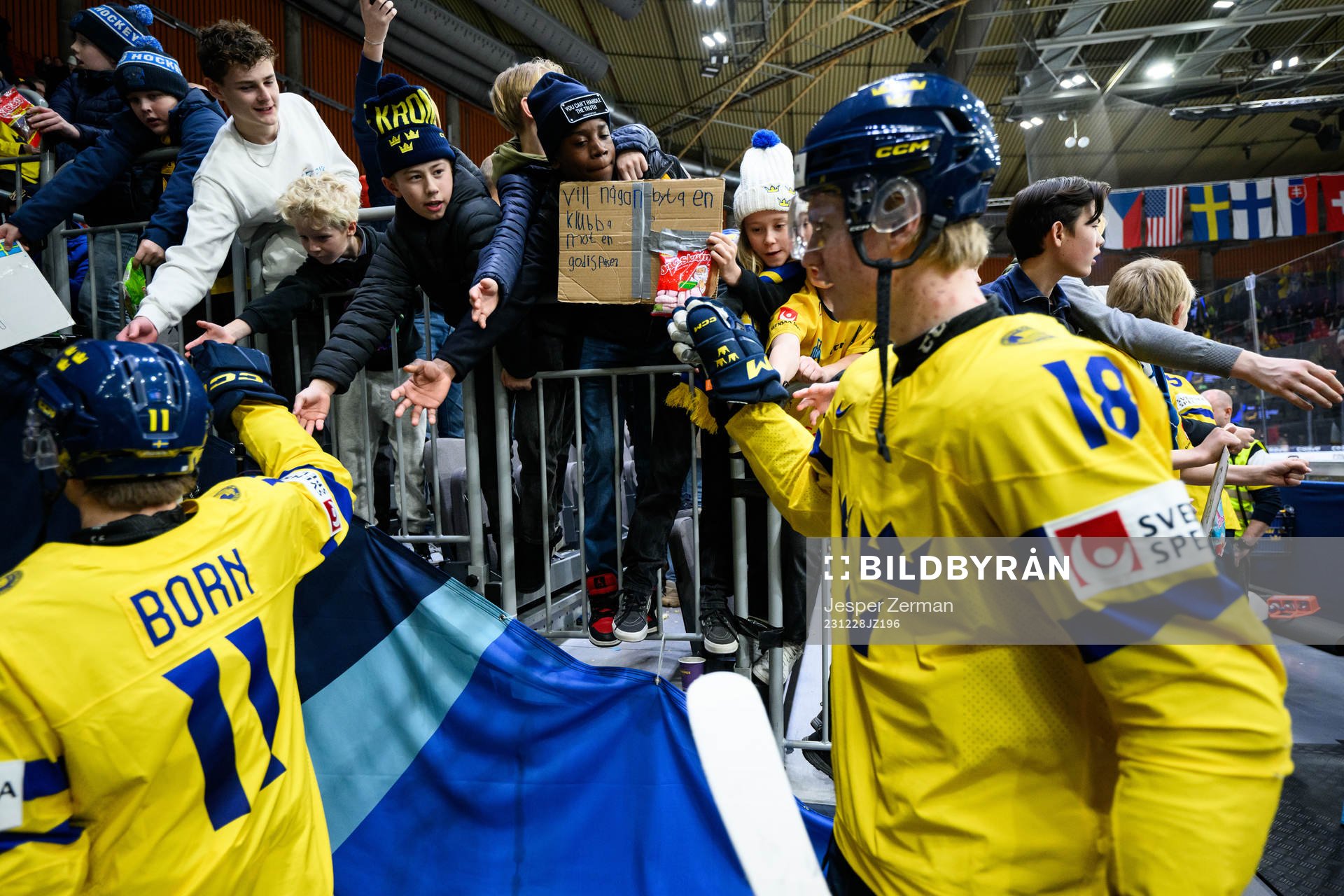 Fans of Sweden