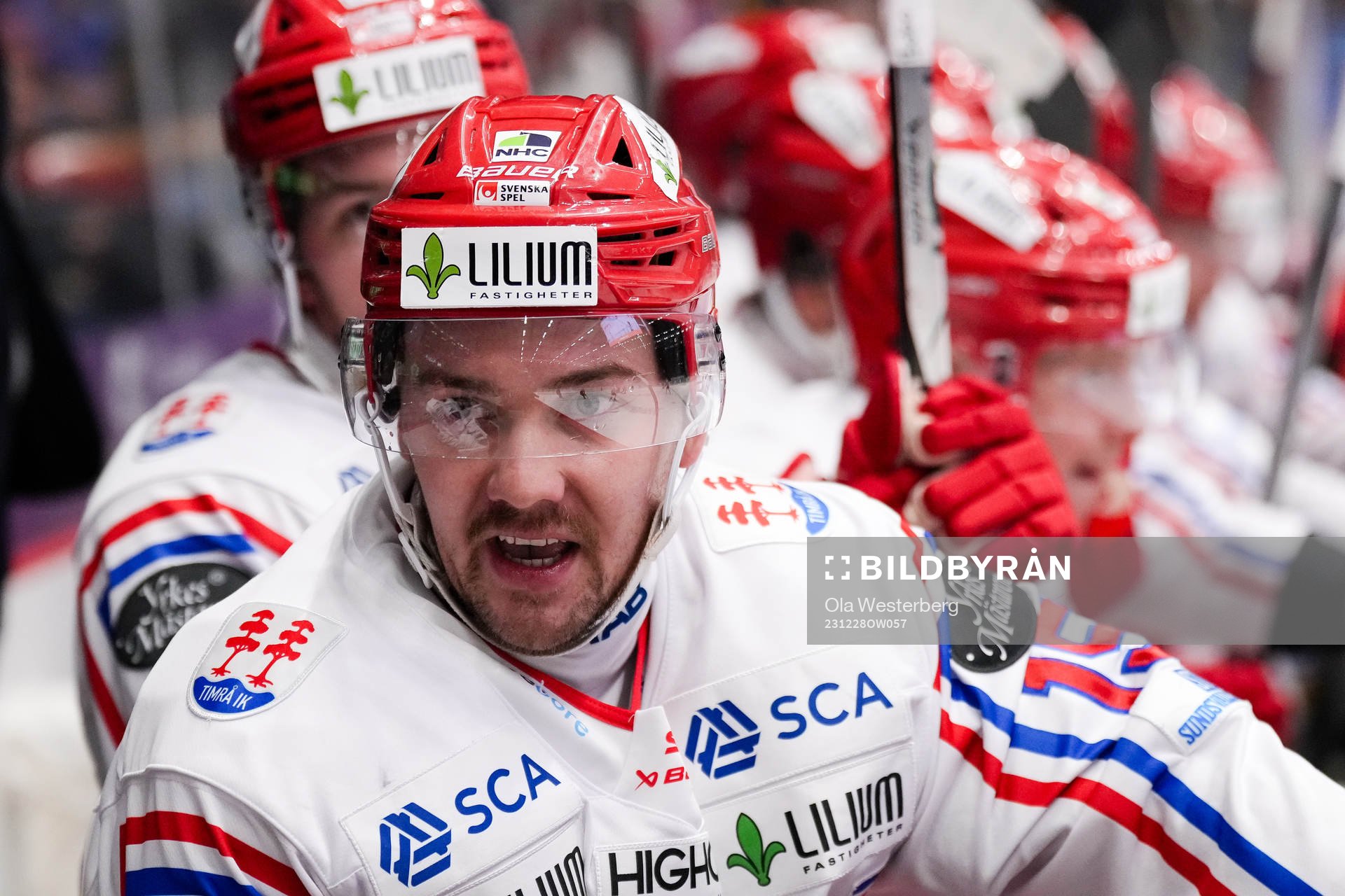 Timrås Panu Mieho