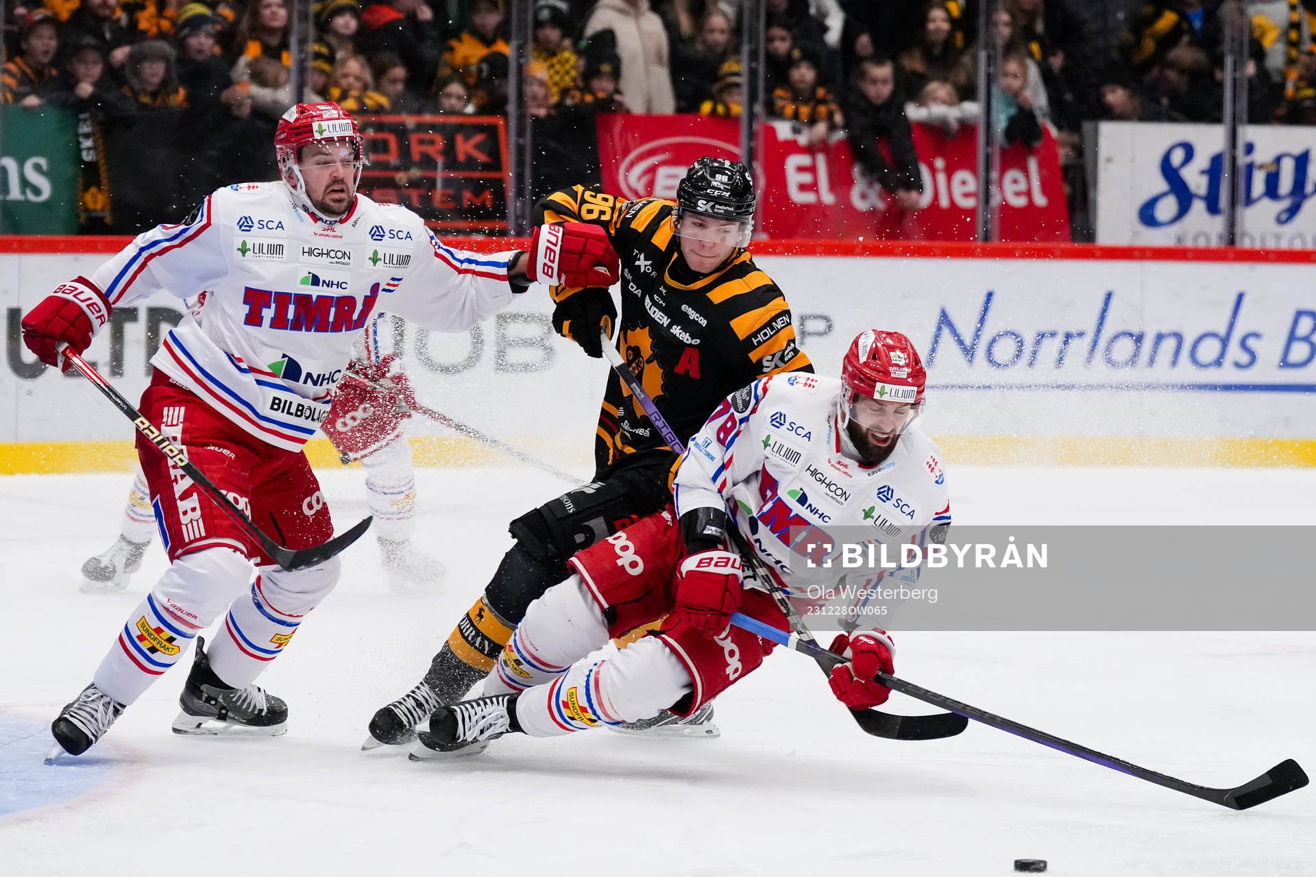 Timrås Tim Erixon och Robin Hanzl