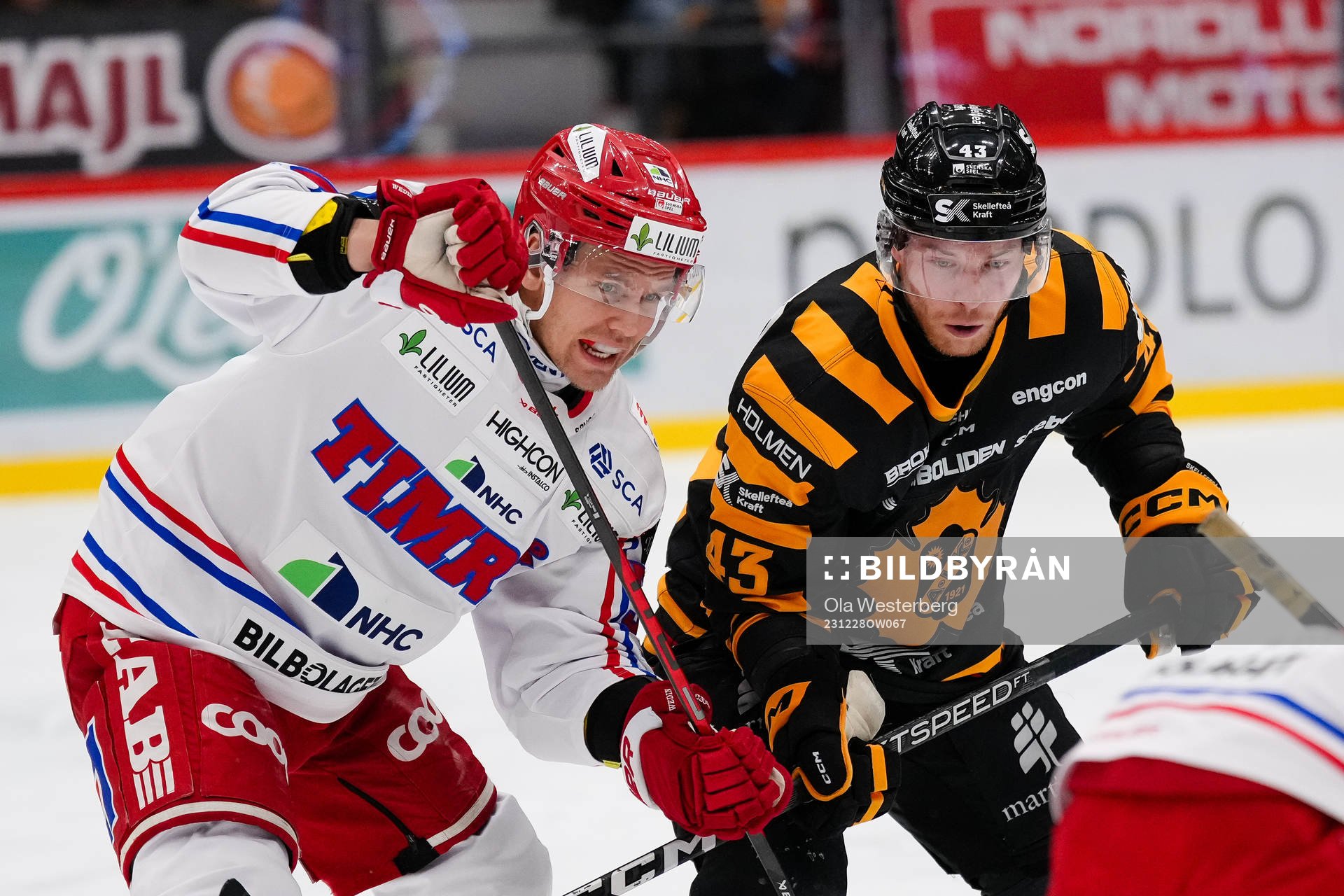 Timrås Anton Wedin och Skellefteås Filip Sandberg