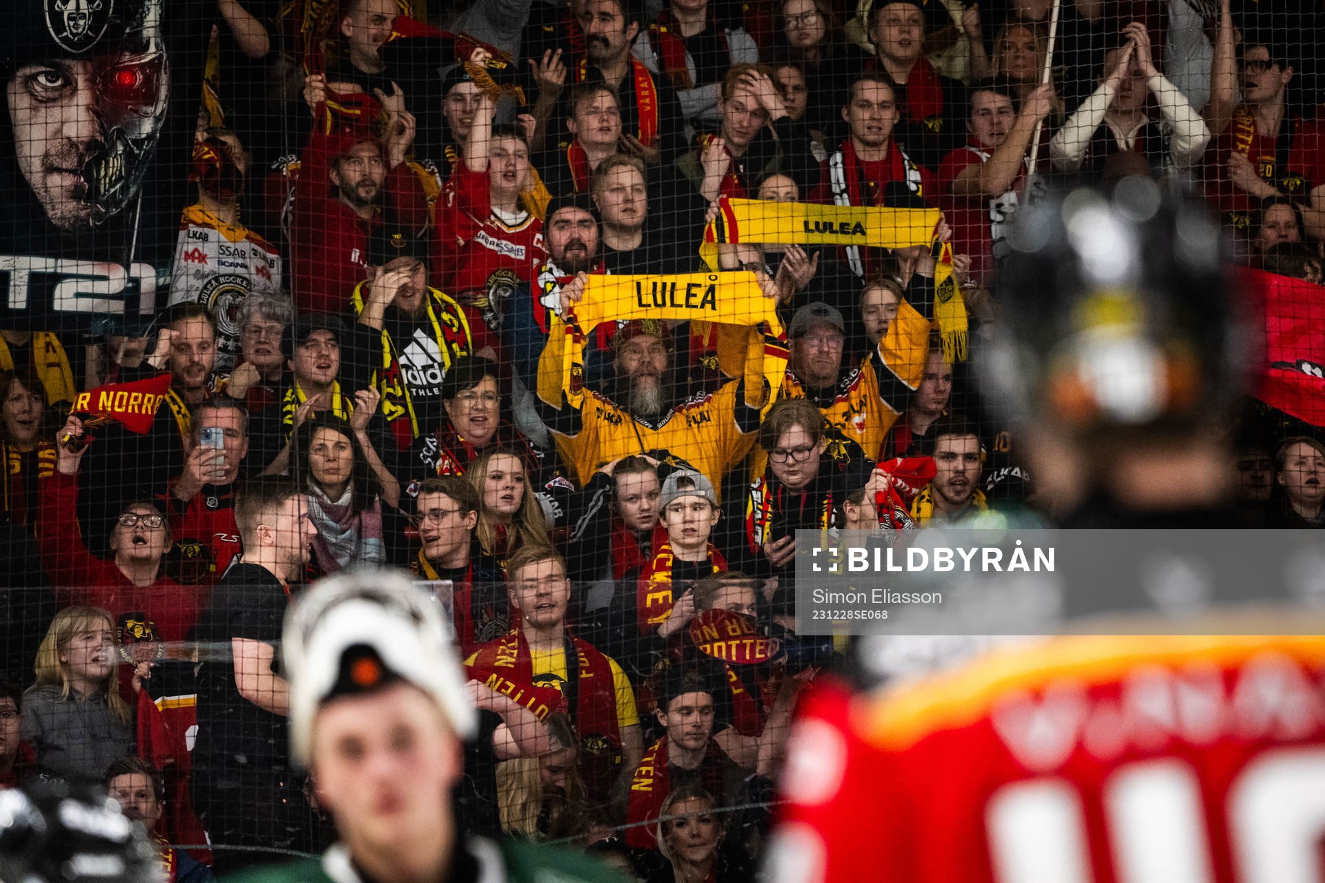 Luleås supportrar jublar