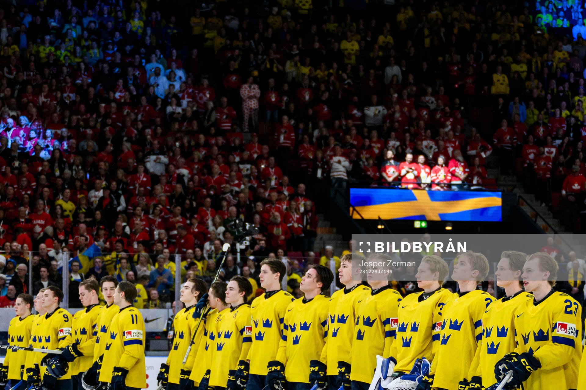 Players of Sweden