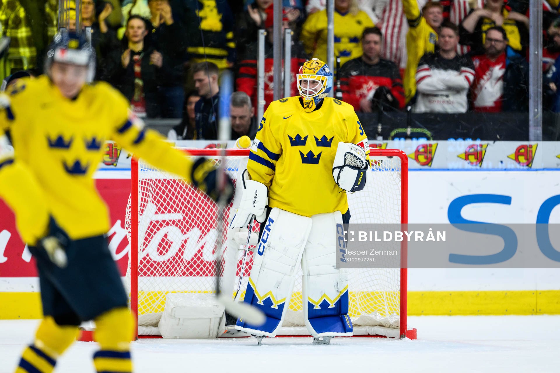goaltender Hugo Hävelid of Sweden celebrates