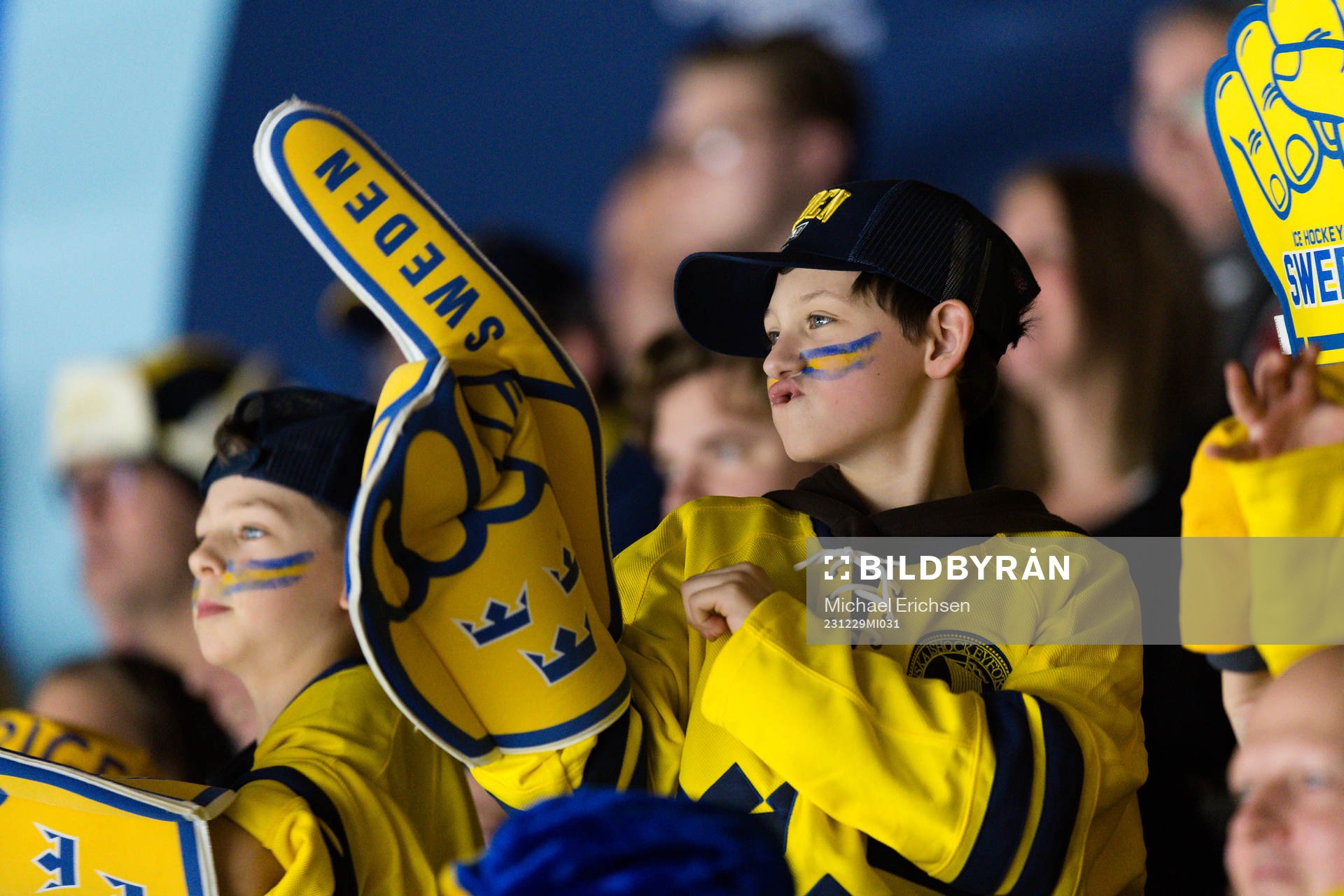 A Swedish fan in the stands