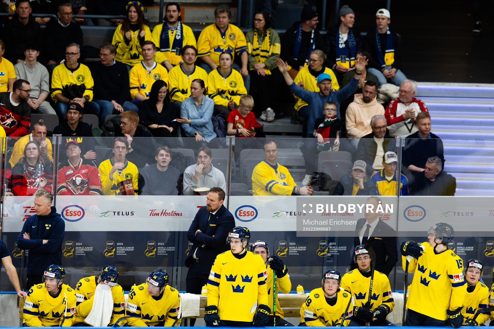 Players and staff of Sweden
