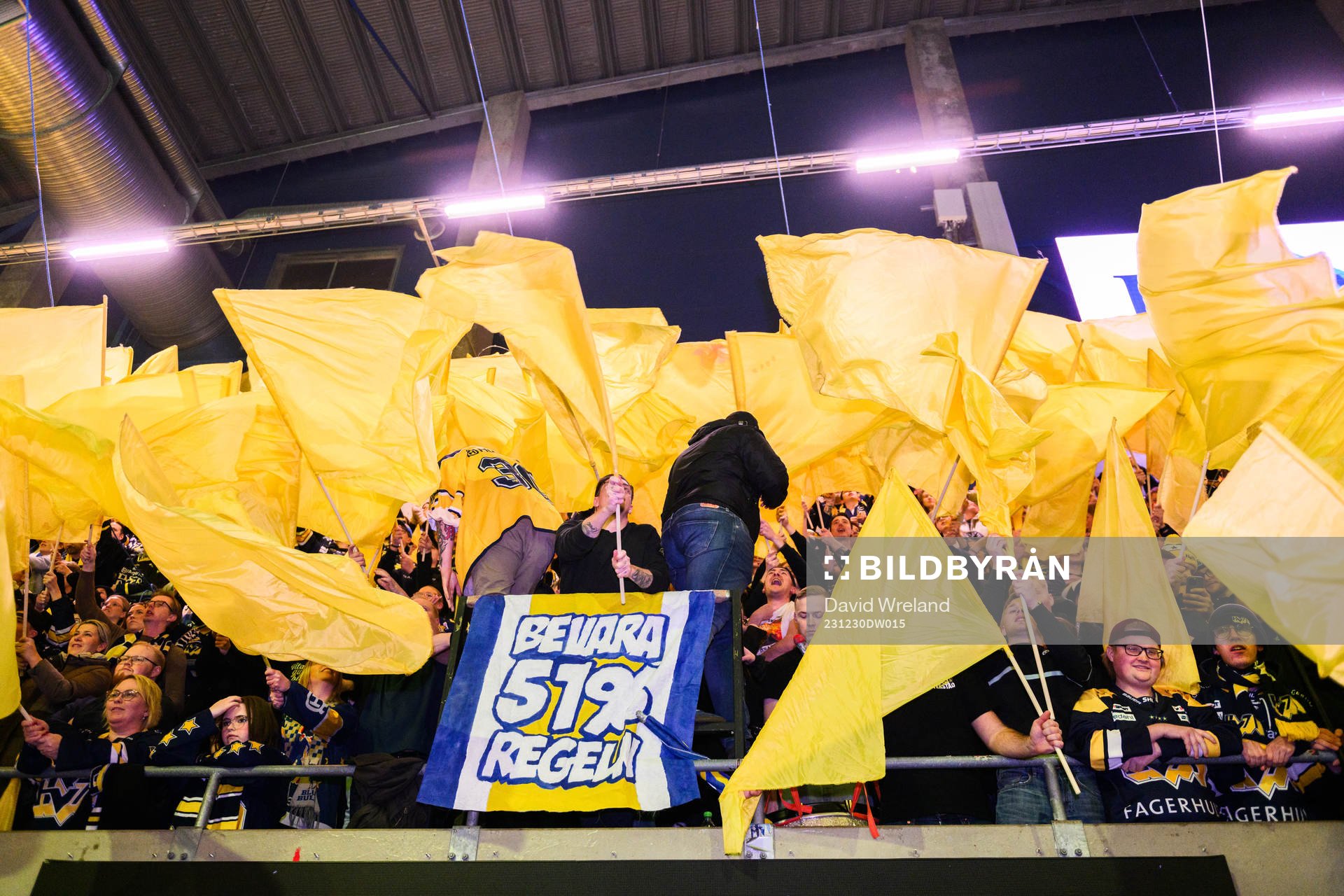 HV71s tifo