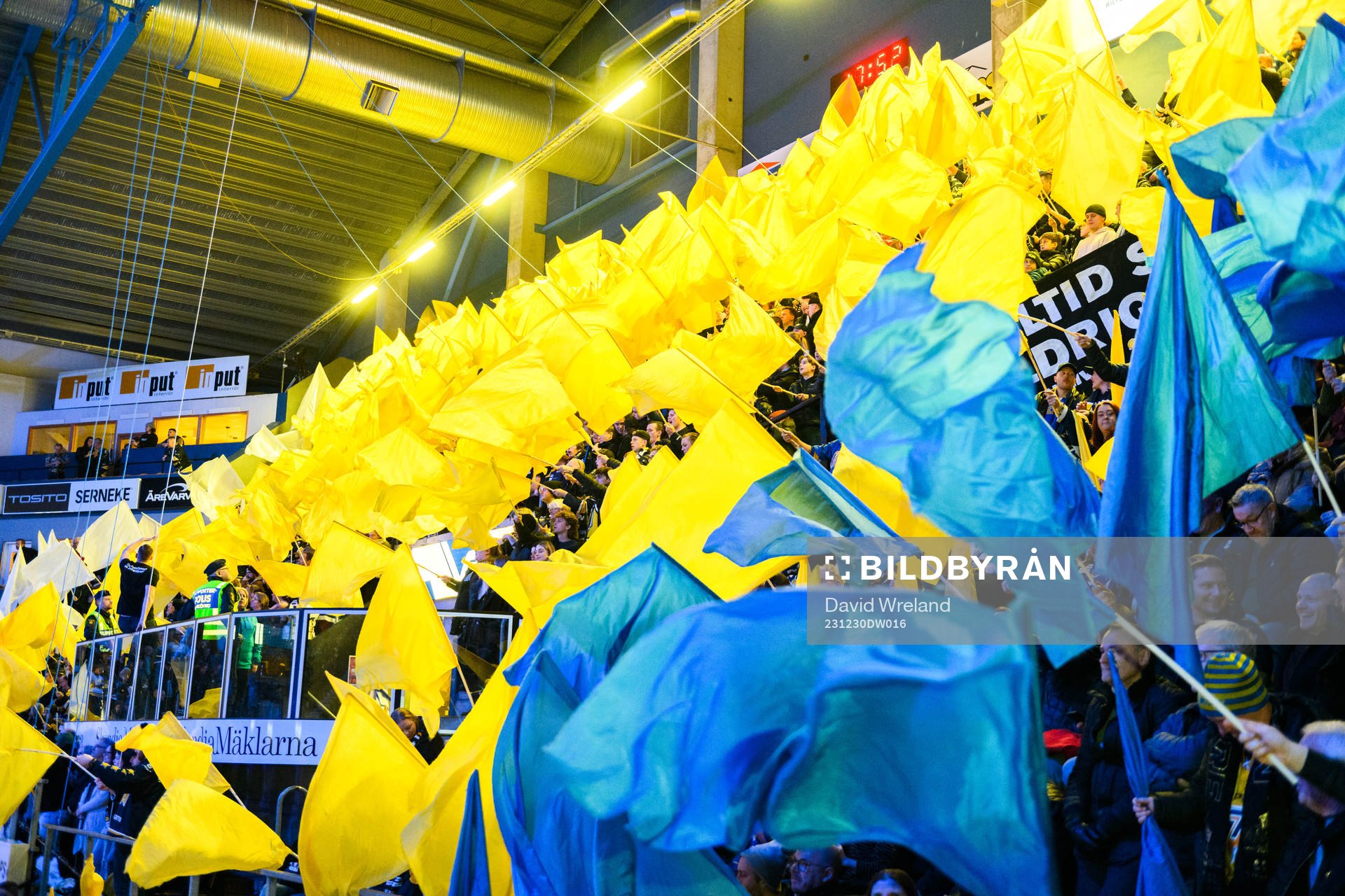 HV71s tifo