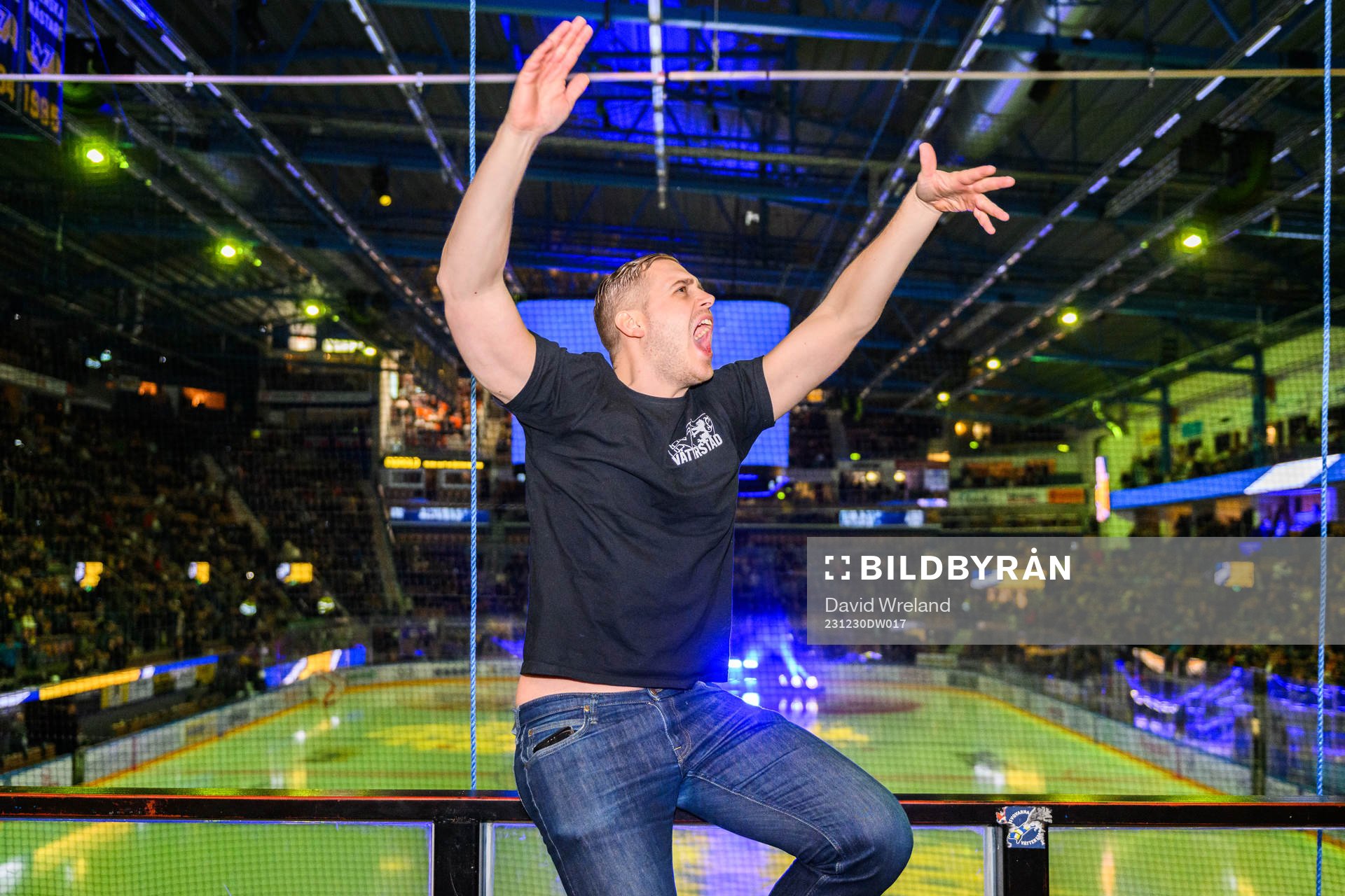 HV71s tifo