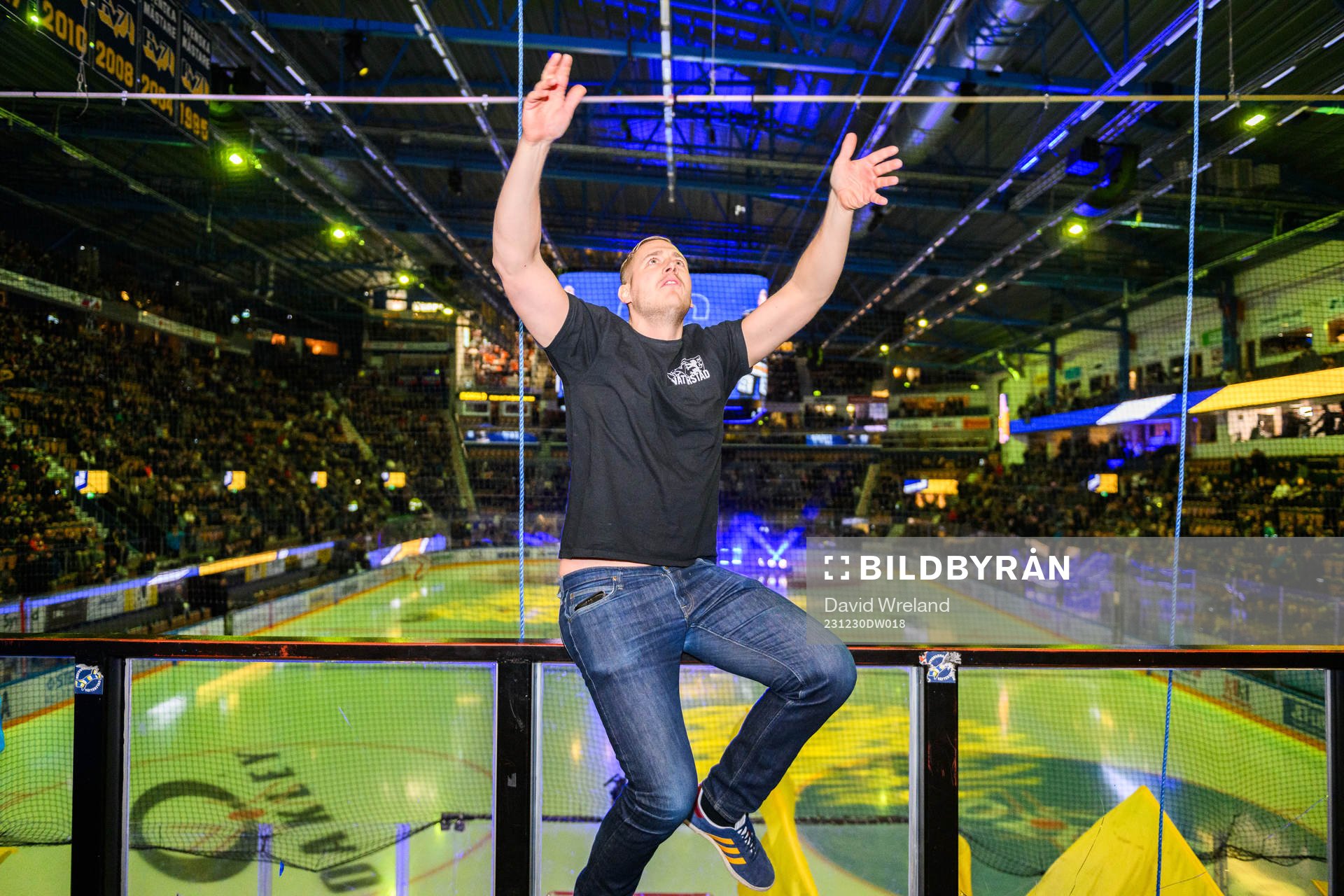 HV71s tifo