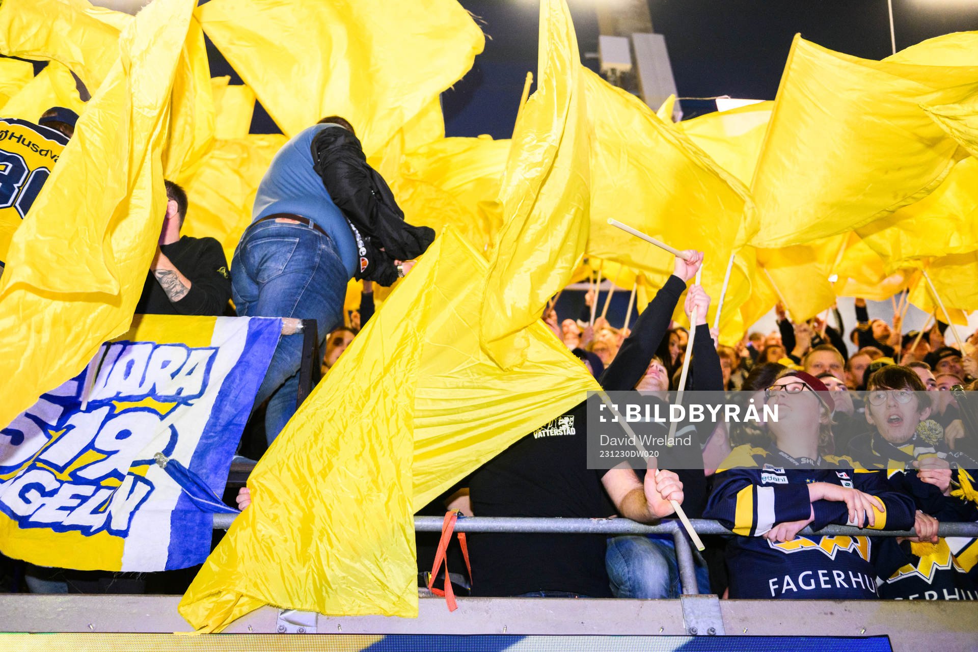 HV71s tifo