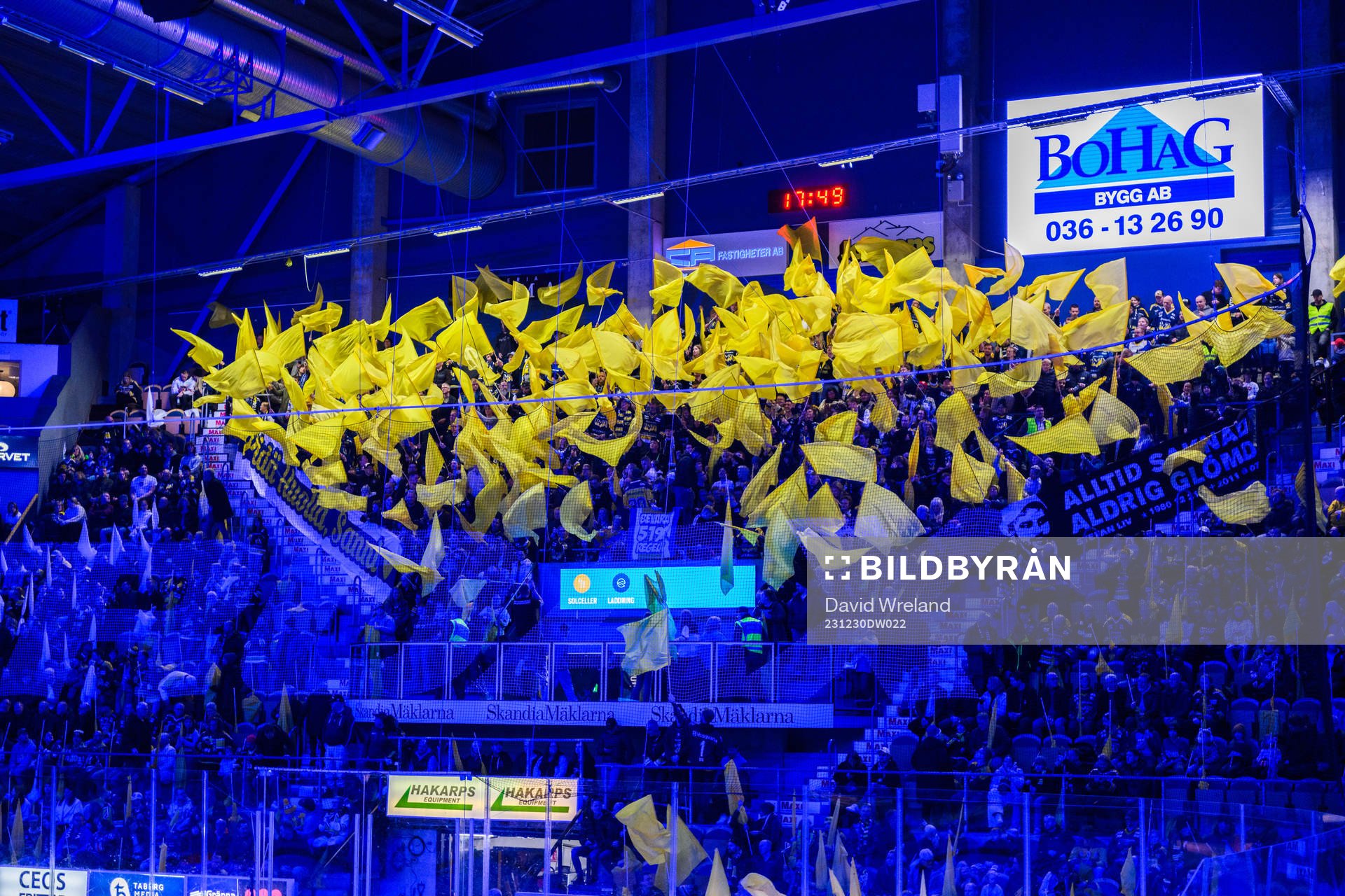 HV71s tifo