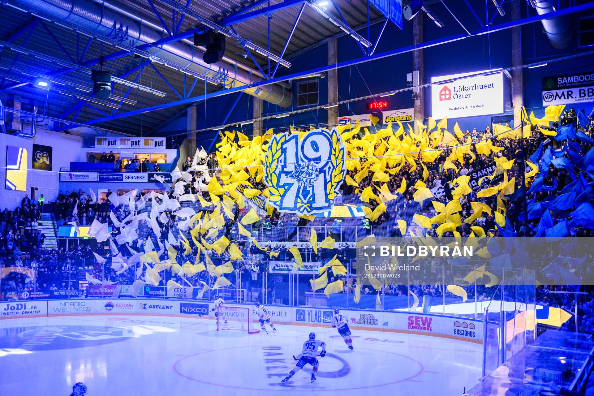HV71s tifo