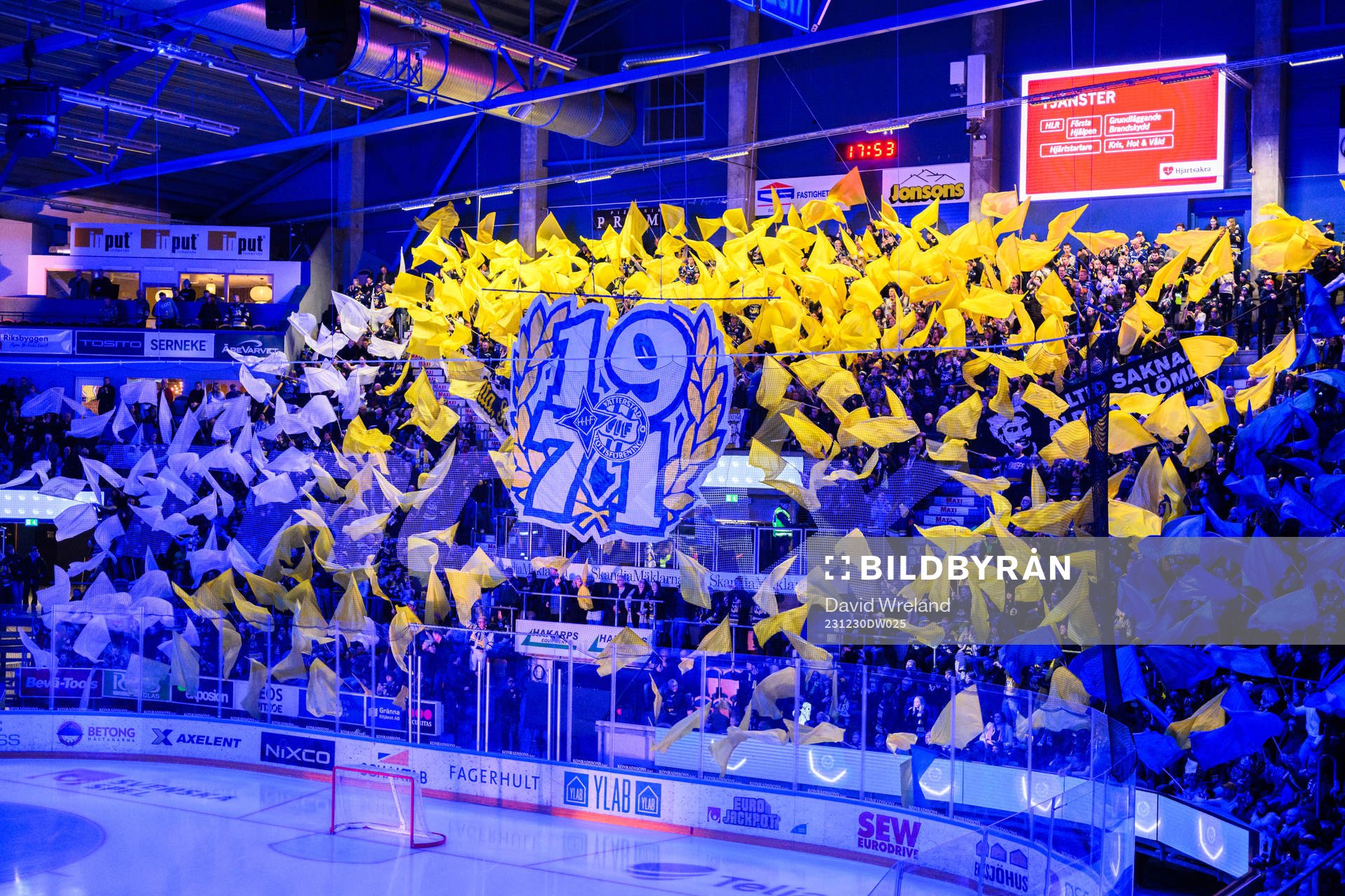 HV71s tifo