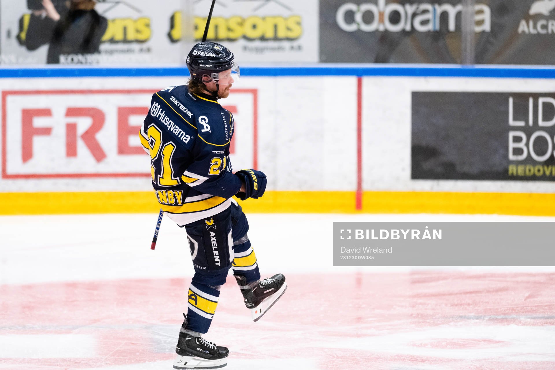 HV71s Mattias Tedenby jublar