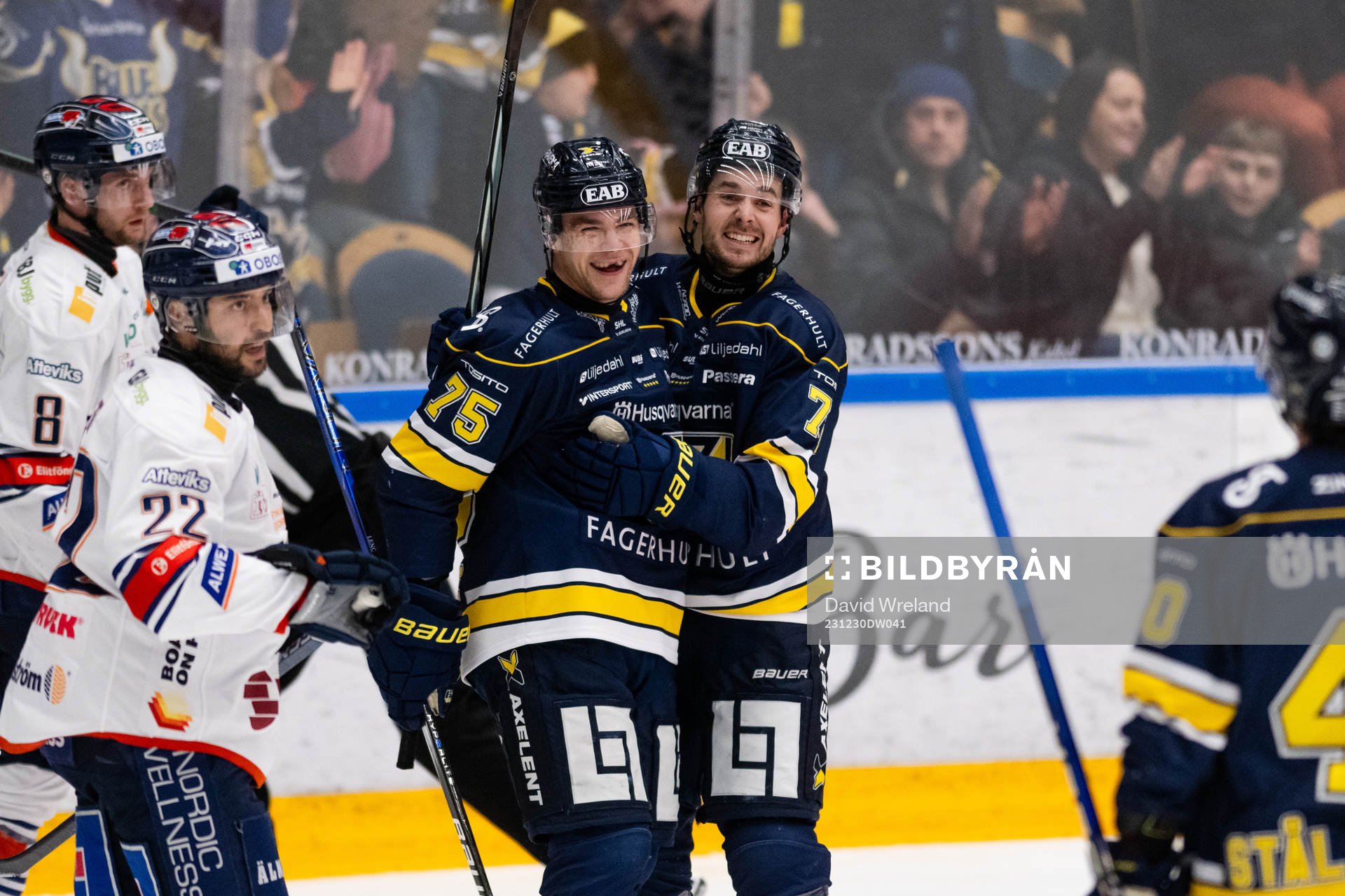 HV71s Radan Lenc jublar