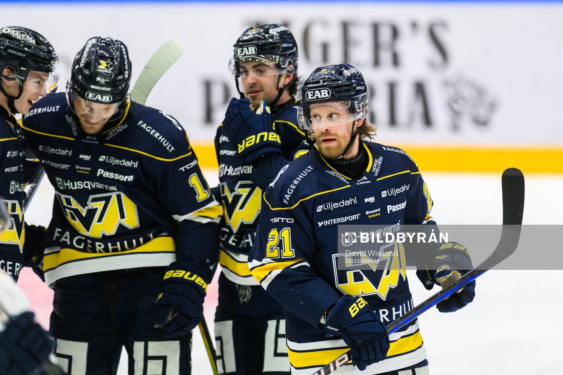 HV71s Mattias Tedenby jublar
