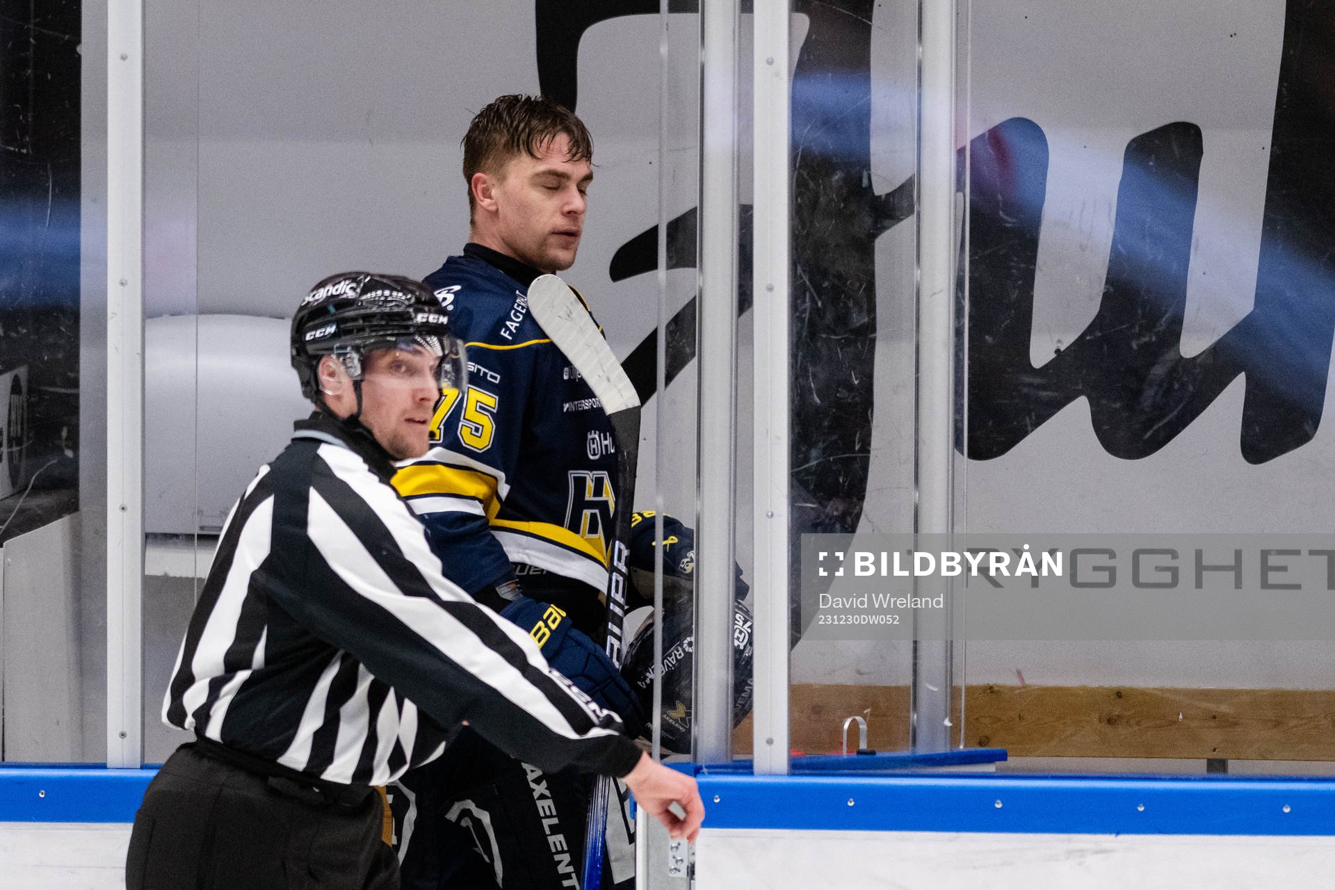 HV71s Radan Lenc