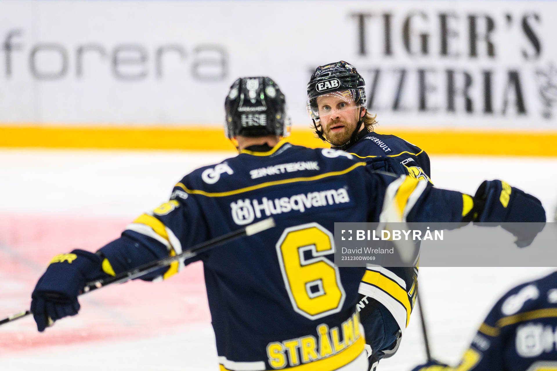 HV71s Mattias Tedenby jublar