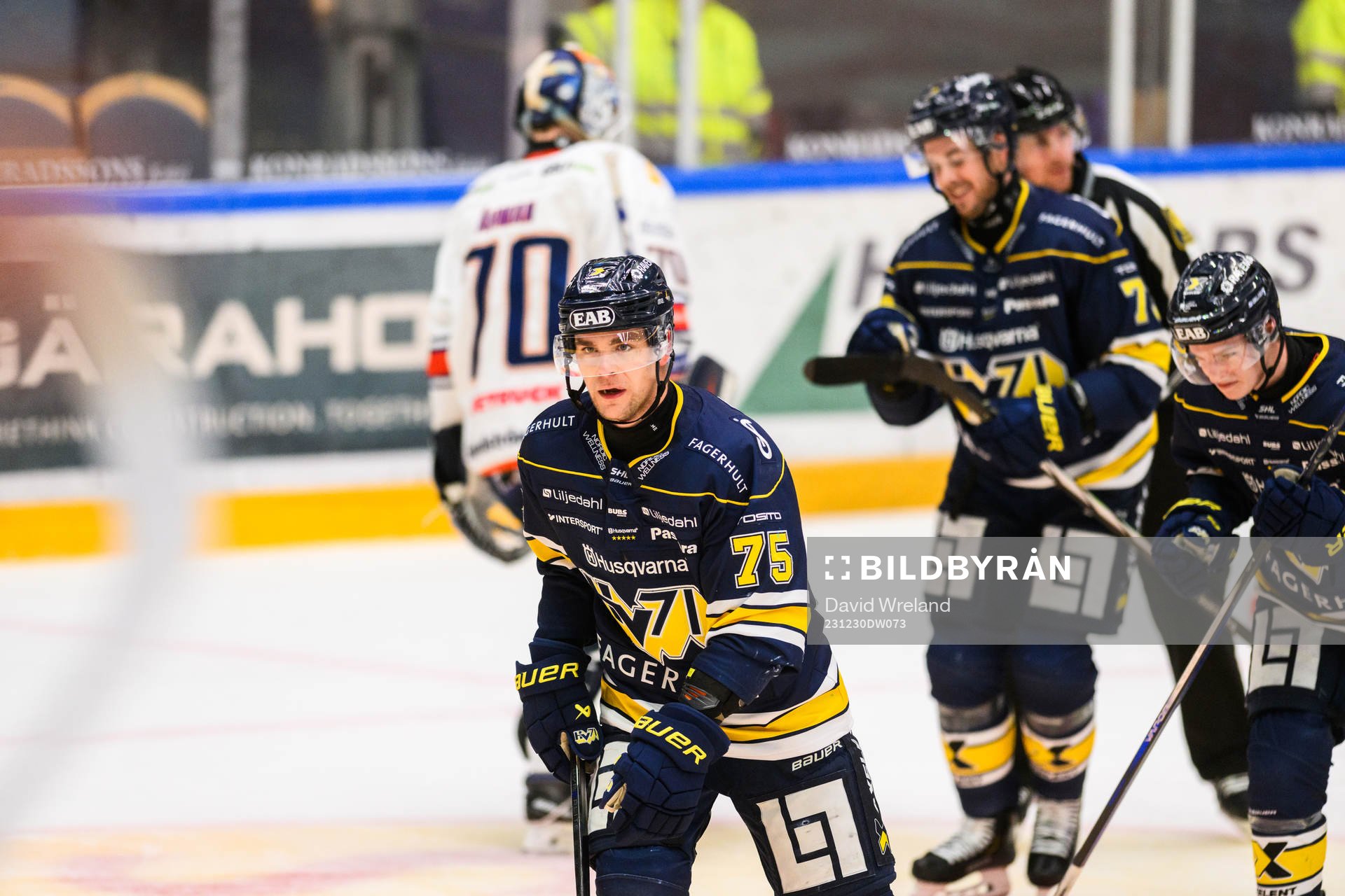 HV71s Radan Lenc