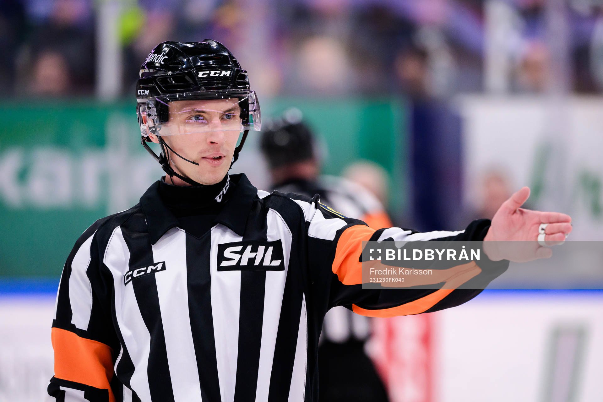 Domare Mikael Holm
