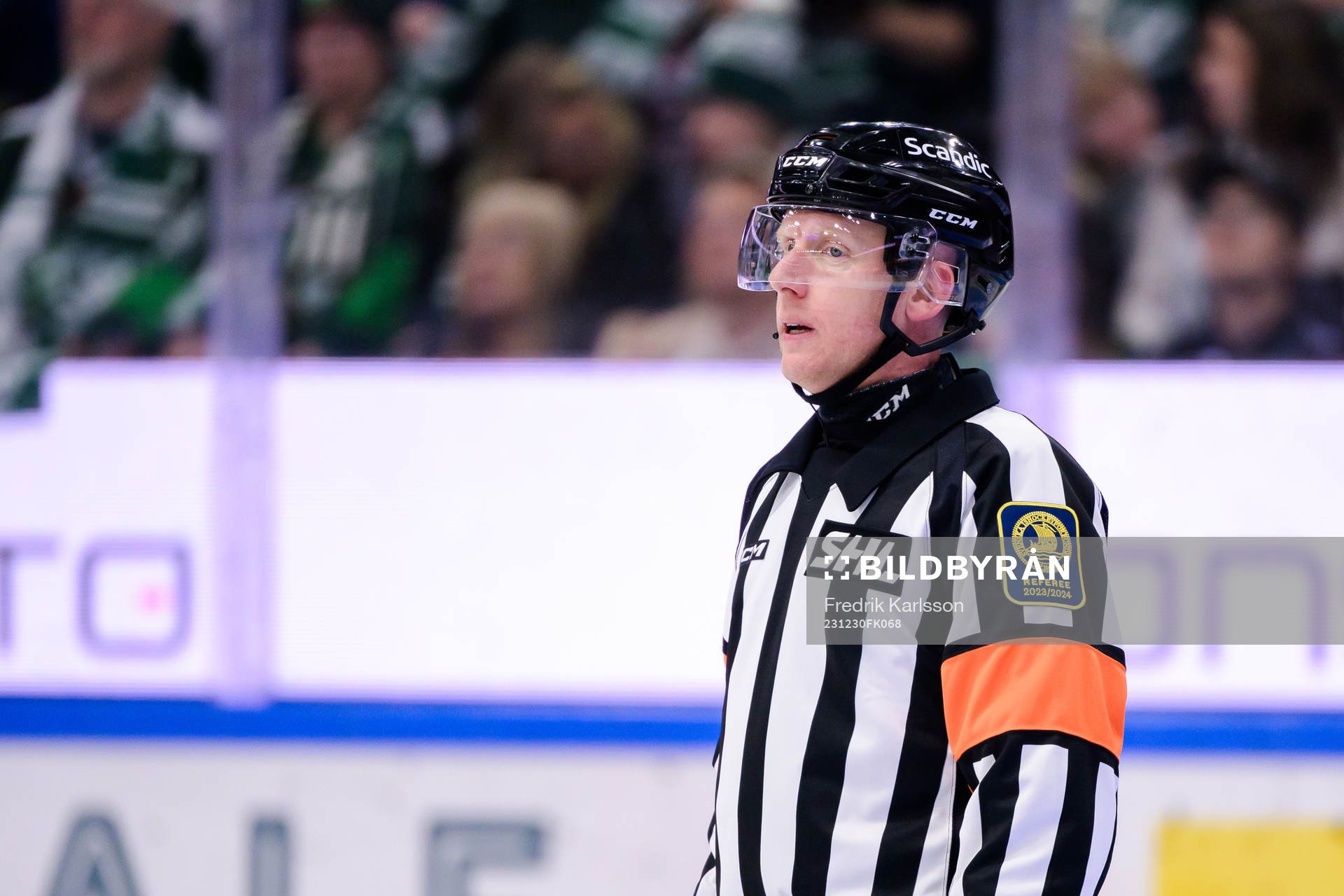 Domare Mikael Holm