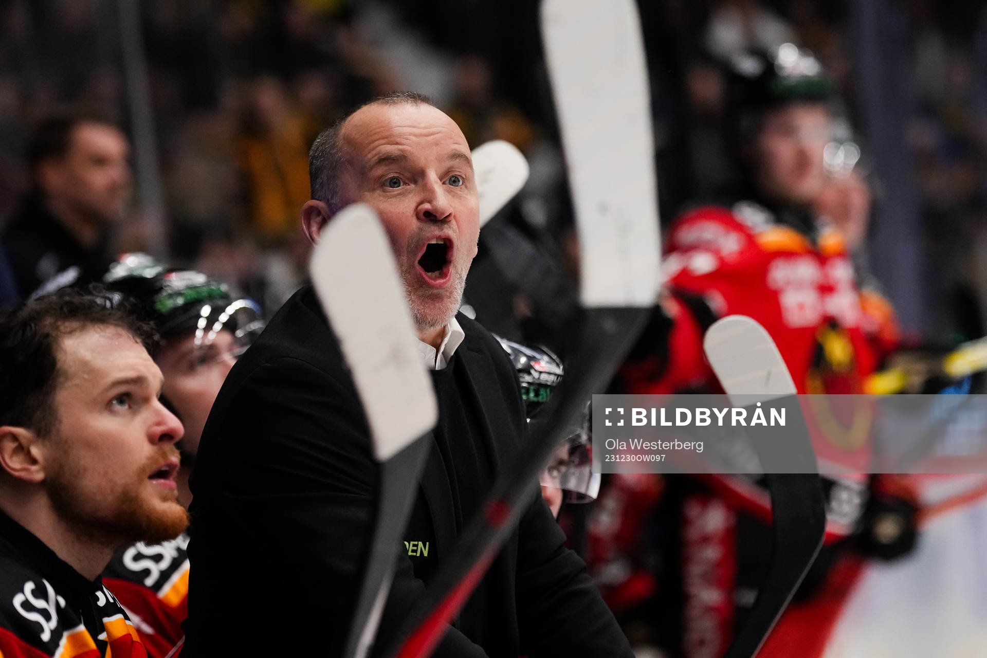 Luleås tränare Thomas Berglund