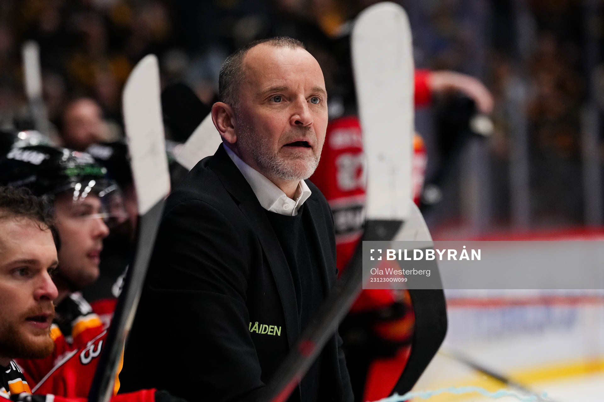 Luleås tränare Thomas Berglund