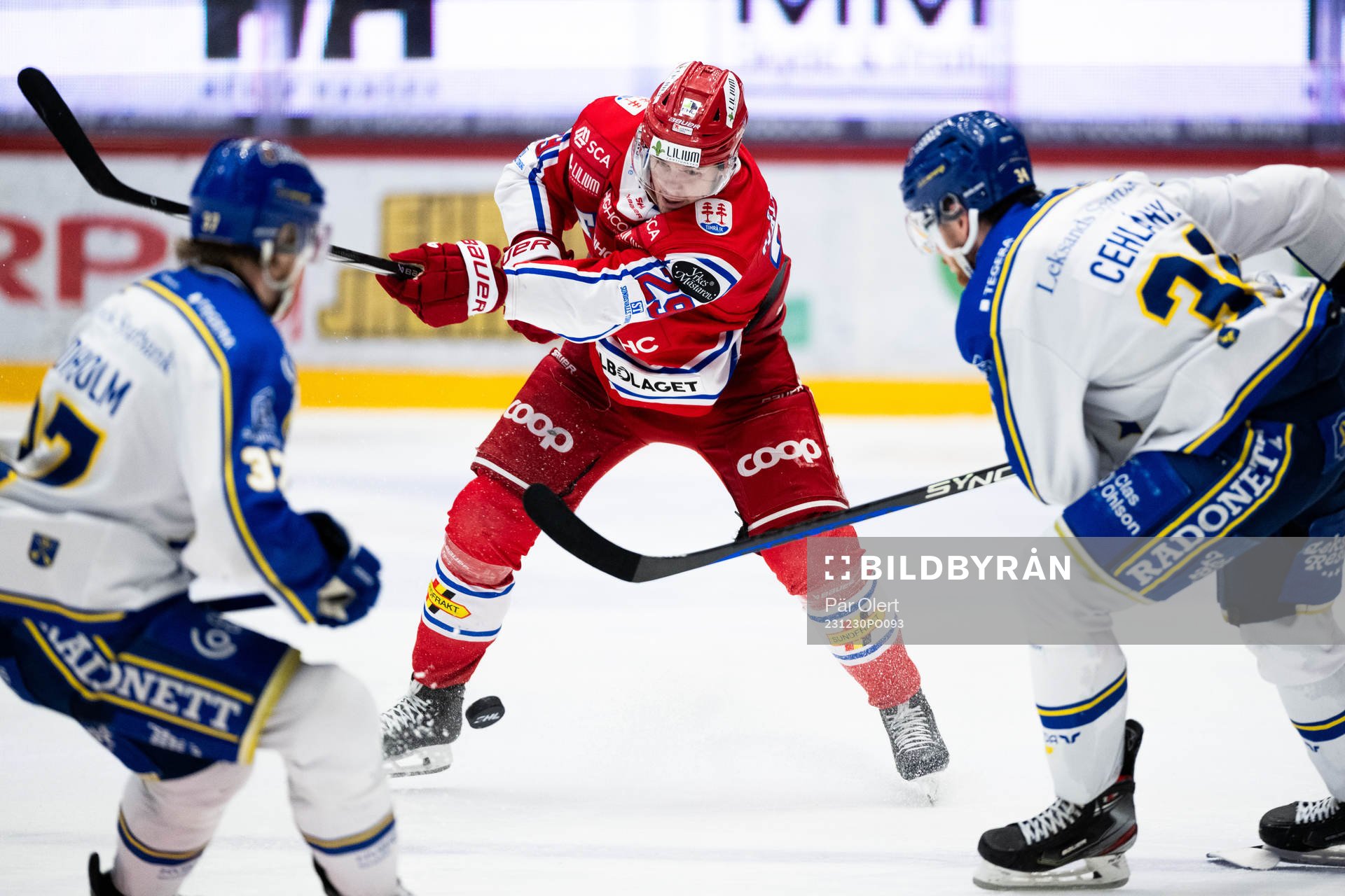 Timrås Filip Hållander