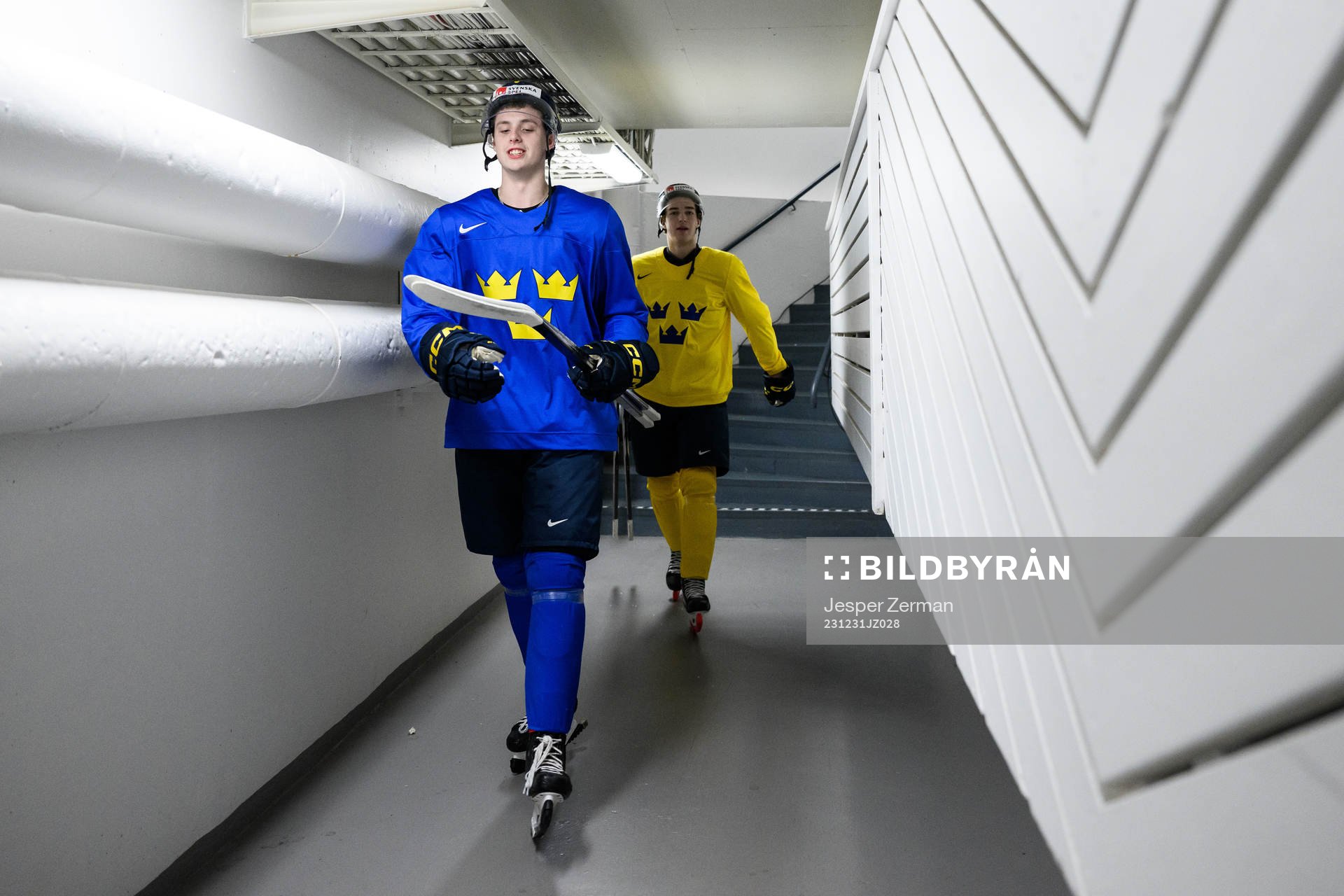 Anton Johansson and David Edstrom of Sweden