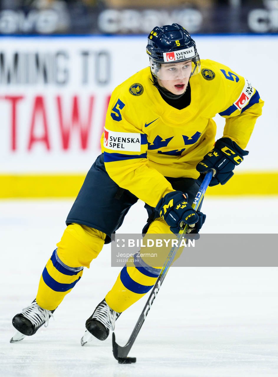 Mattias Hävelid of Sweden
