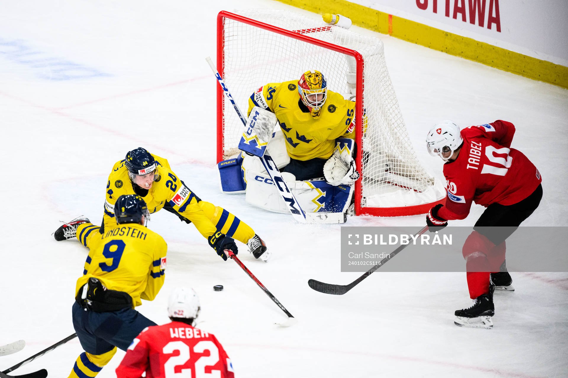 Tom Willander and goaltender Hugo Hävelid of Sweden
