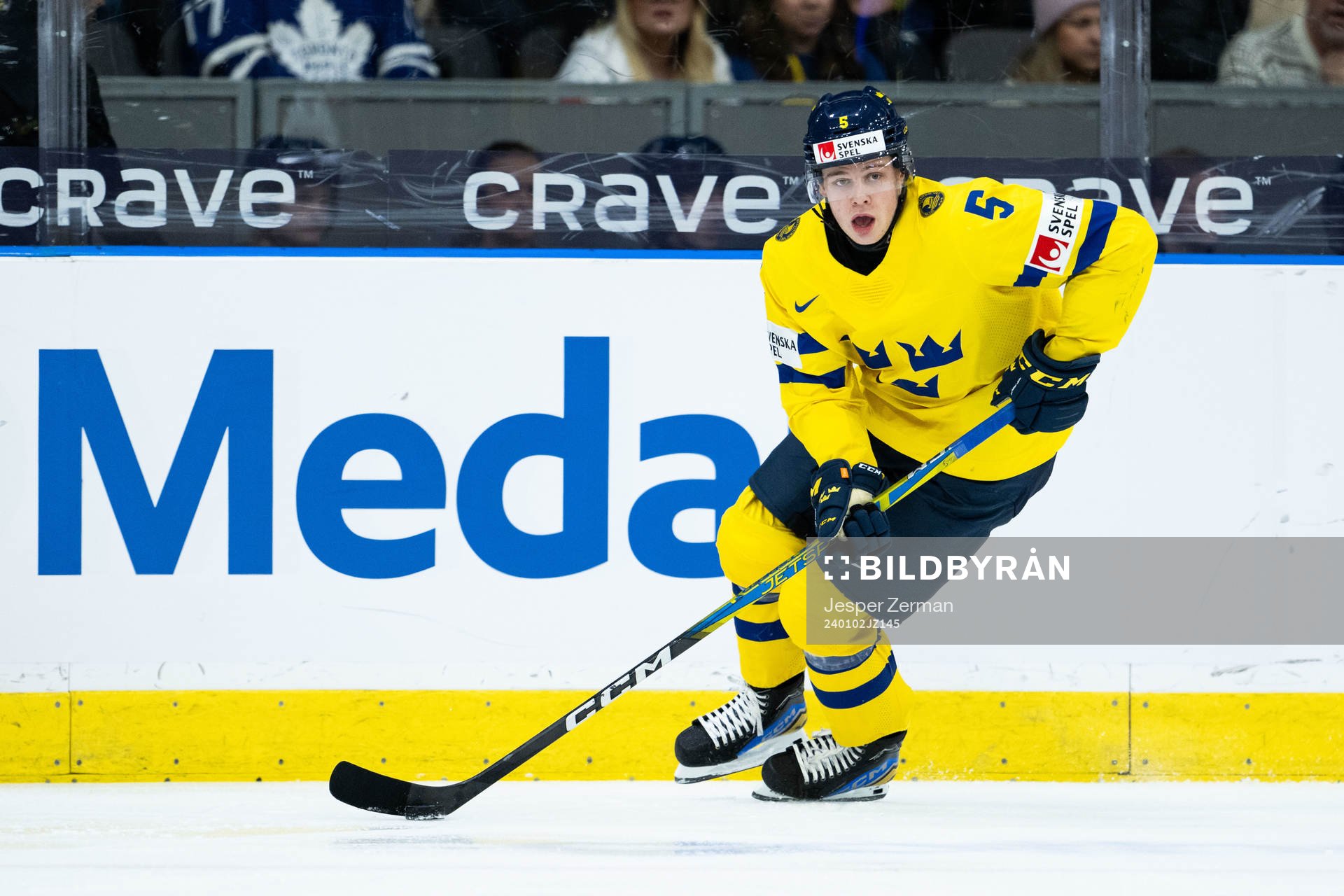 Mattias Hävelid of Sweden