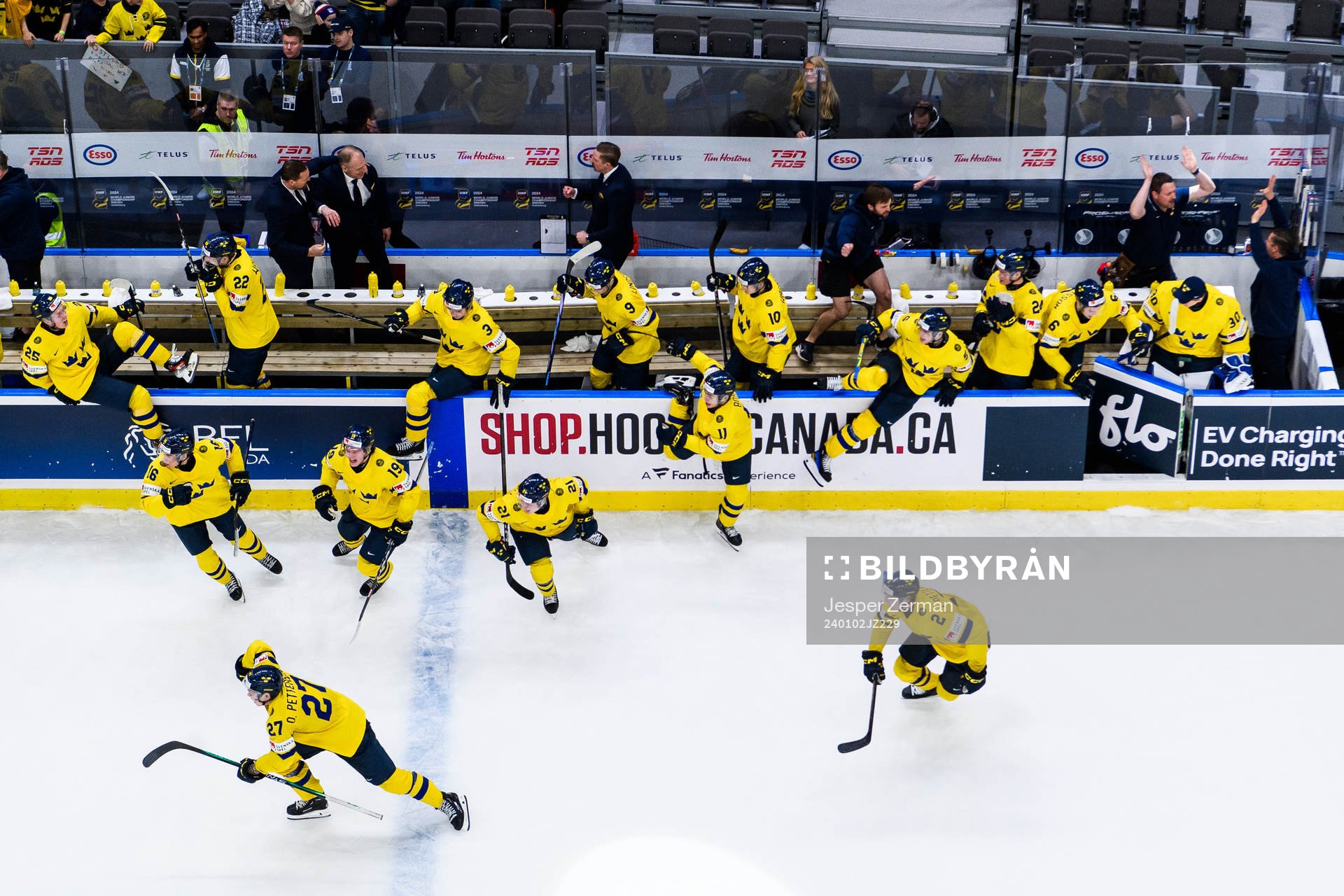 Players and coaching staff of Sweden celebrate