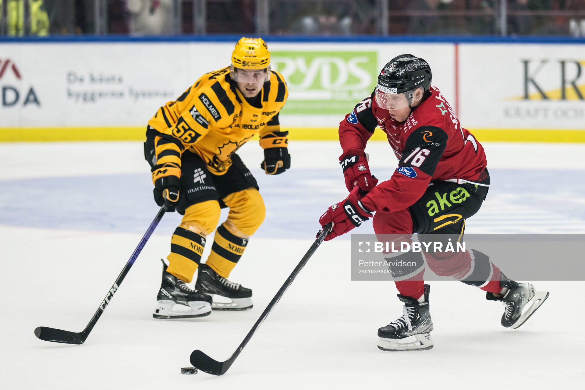 Skellefteås Anton Olsson och Malmö Redhawks Tomi Sallinen