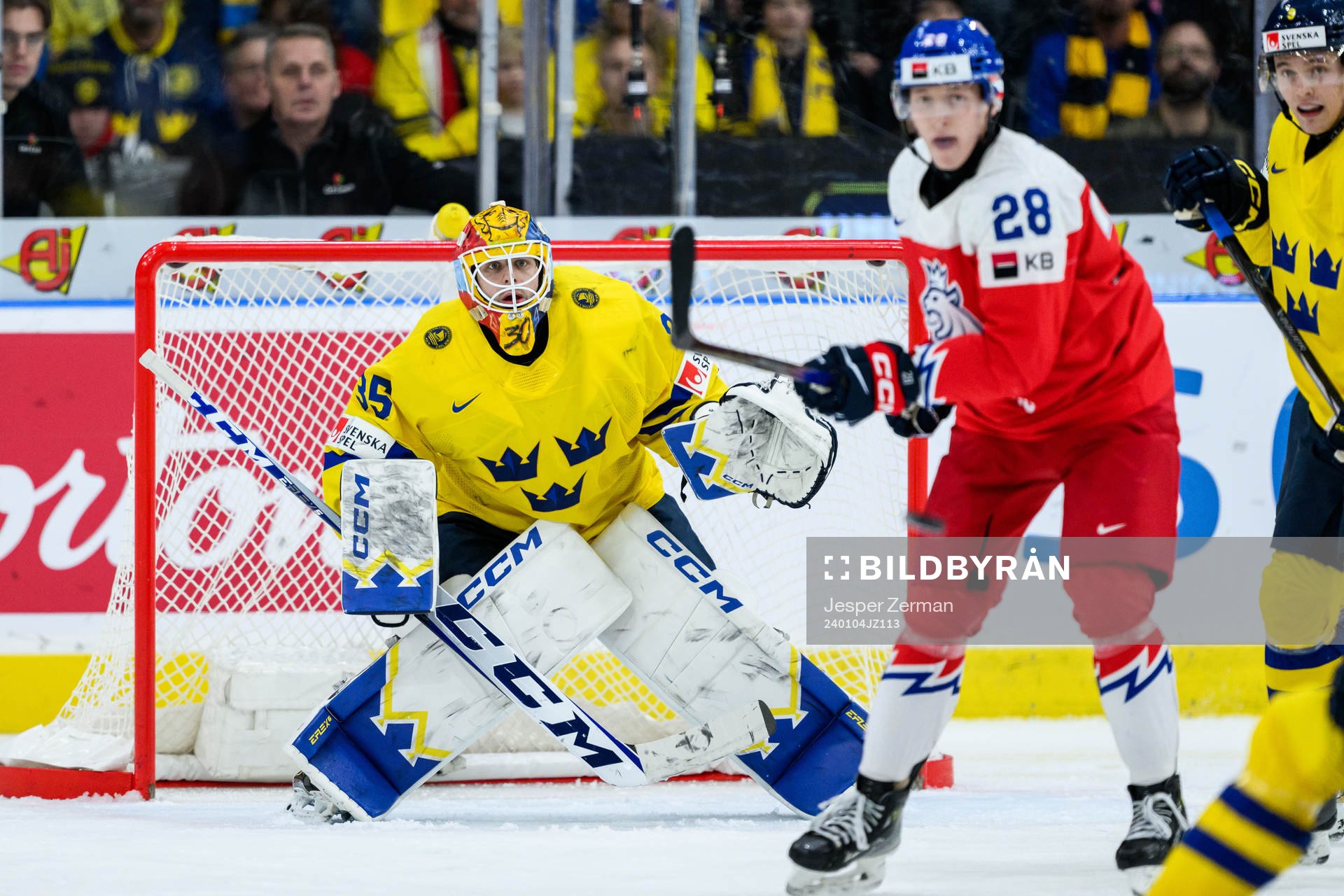 Goaltender Hugo Hävelid of Sweden
