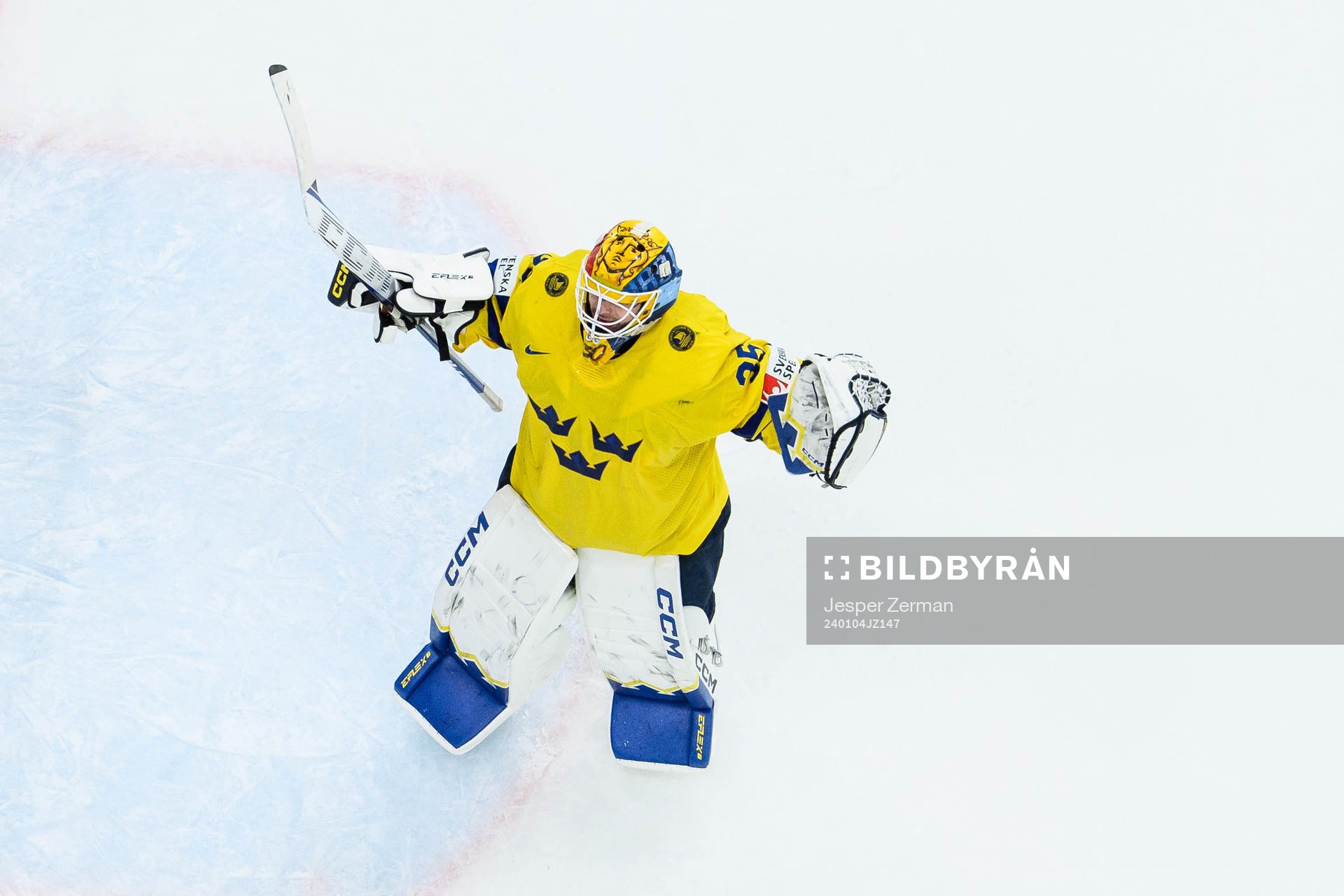 goaltender Hugo Hävelid of Sweden celebrates