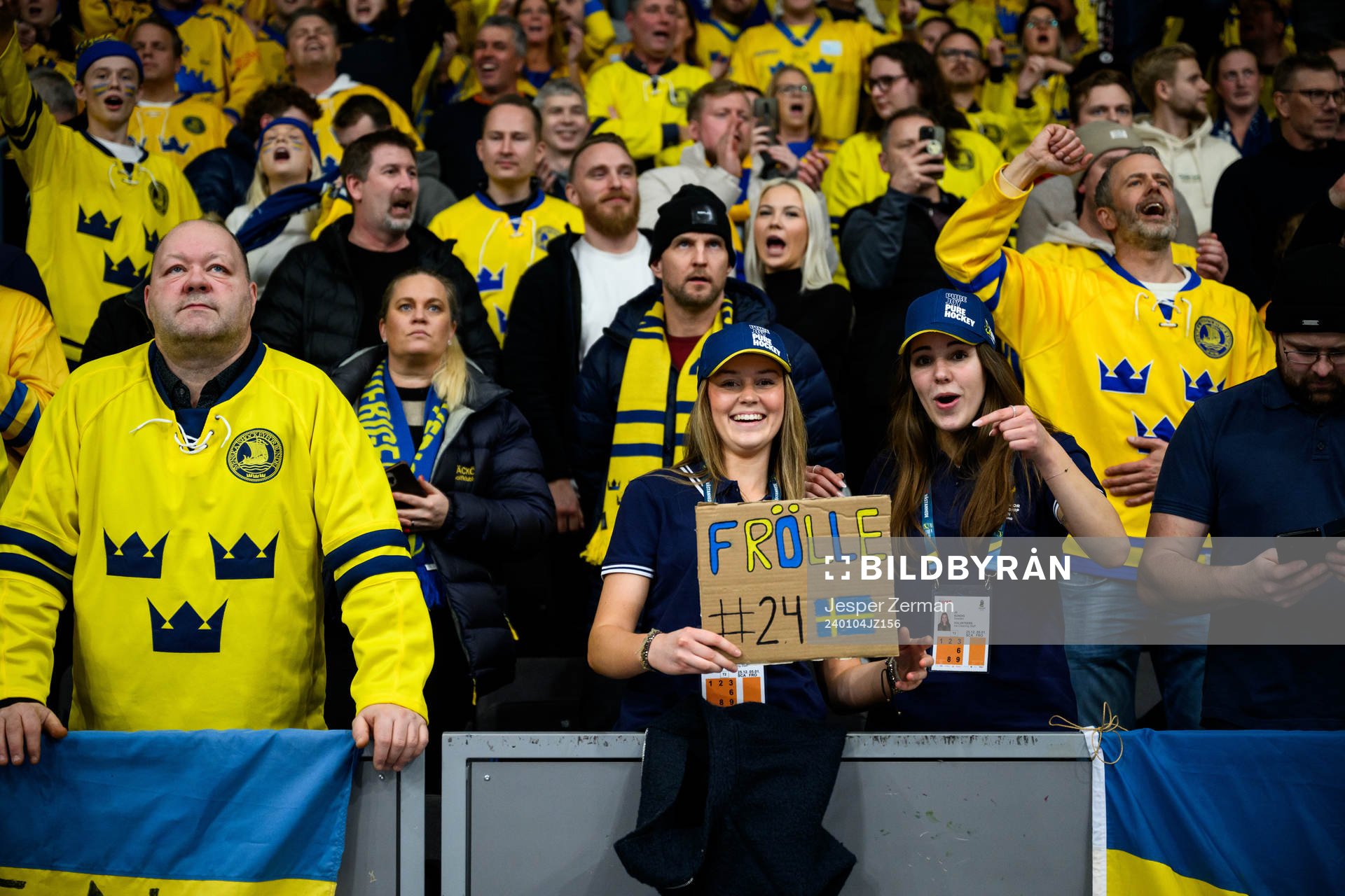 Fans of Sweden celebrate