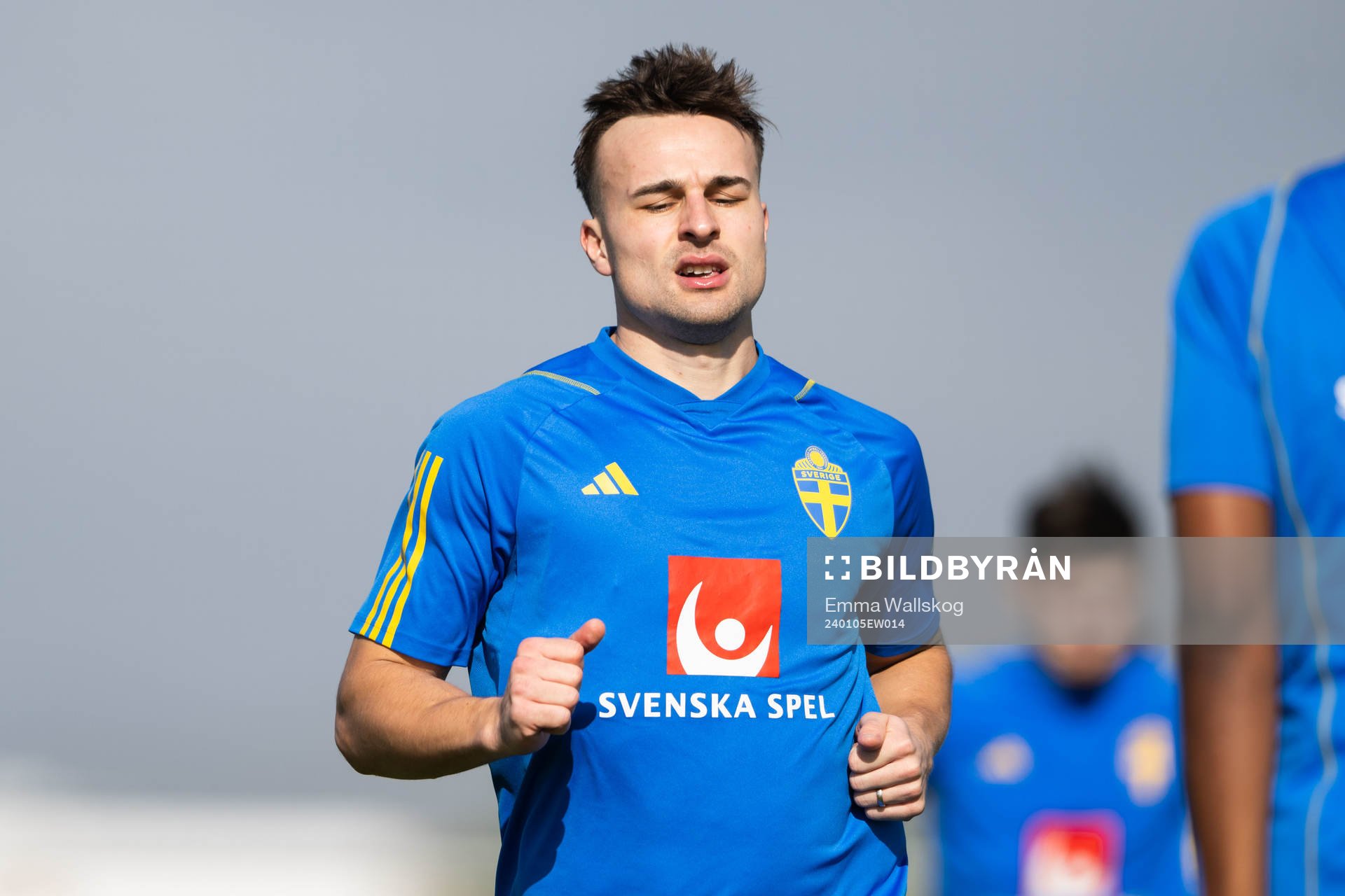 Henrik Castegren of the Swedish men's football national