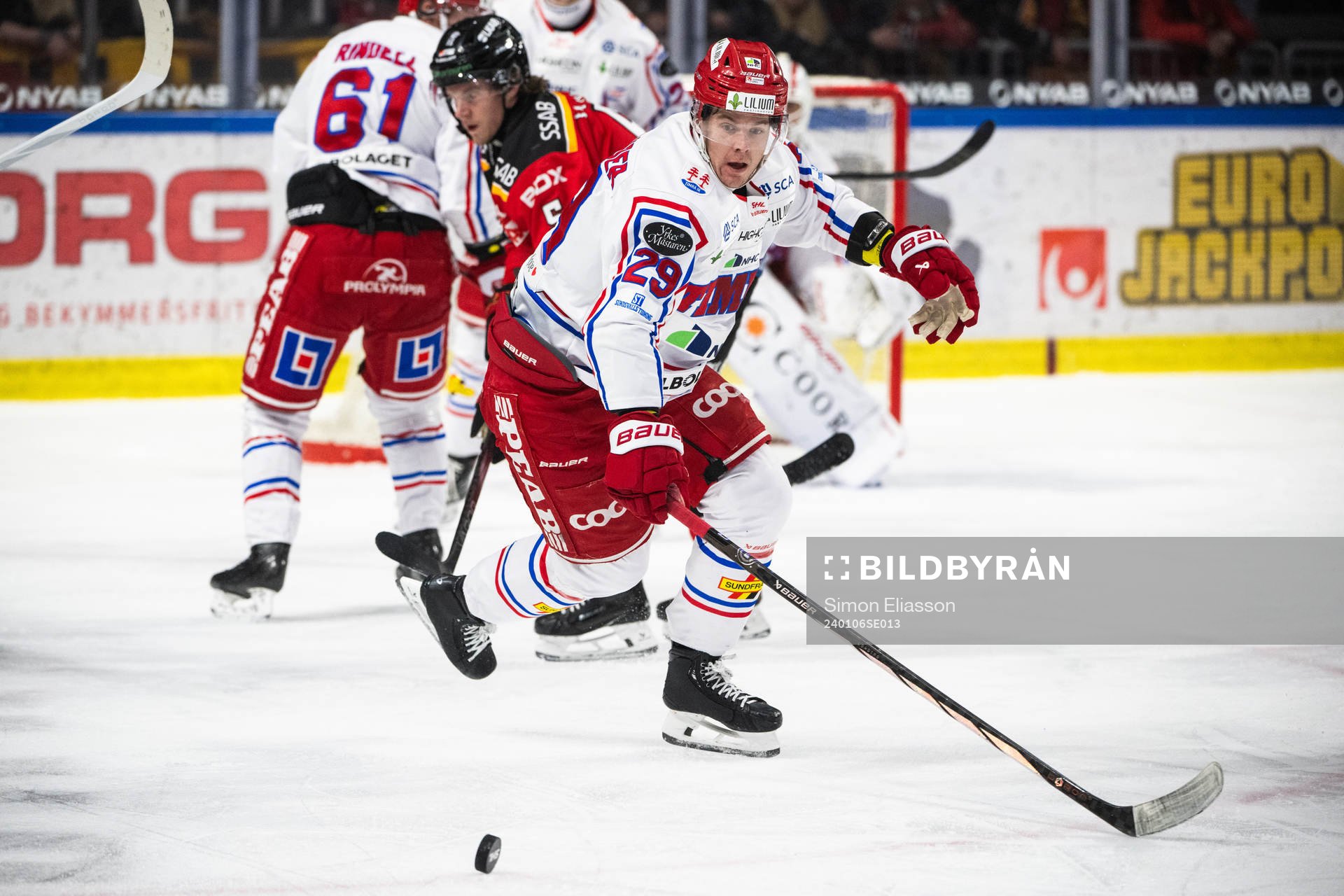 Timrås Filip Hållander