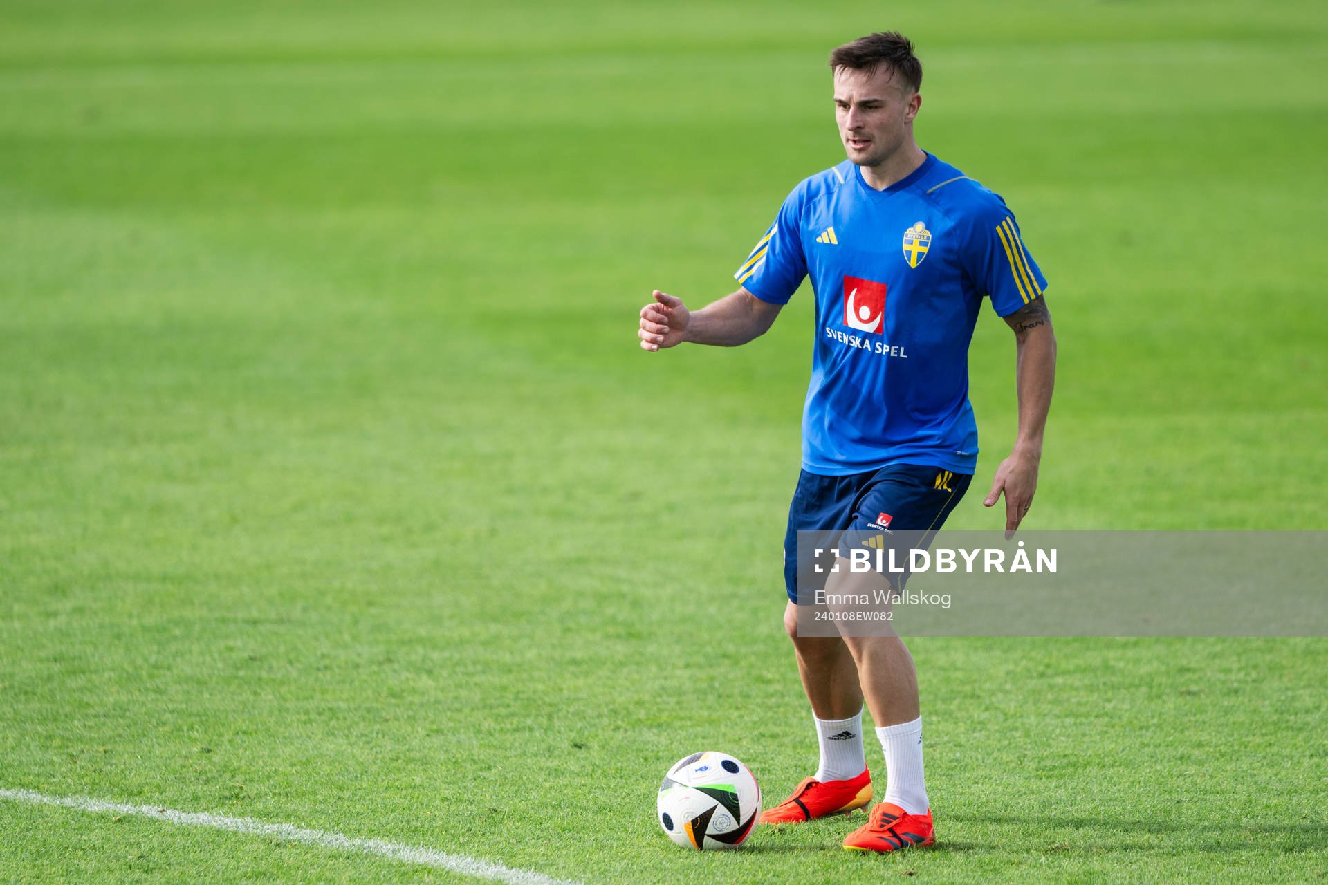 Henrik Castegren of the Swedish men's football national