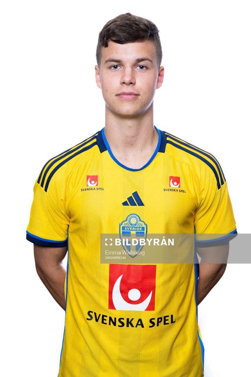 Samuel Dahl of the Swedish men's football national team