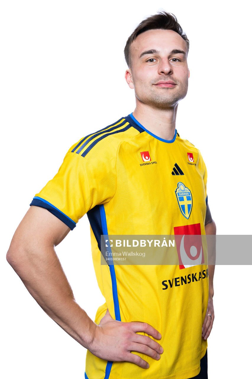 Henrik Castegren of the Swedish men's football national