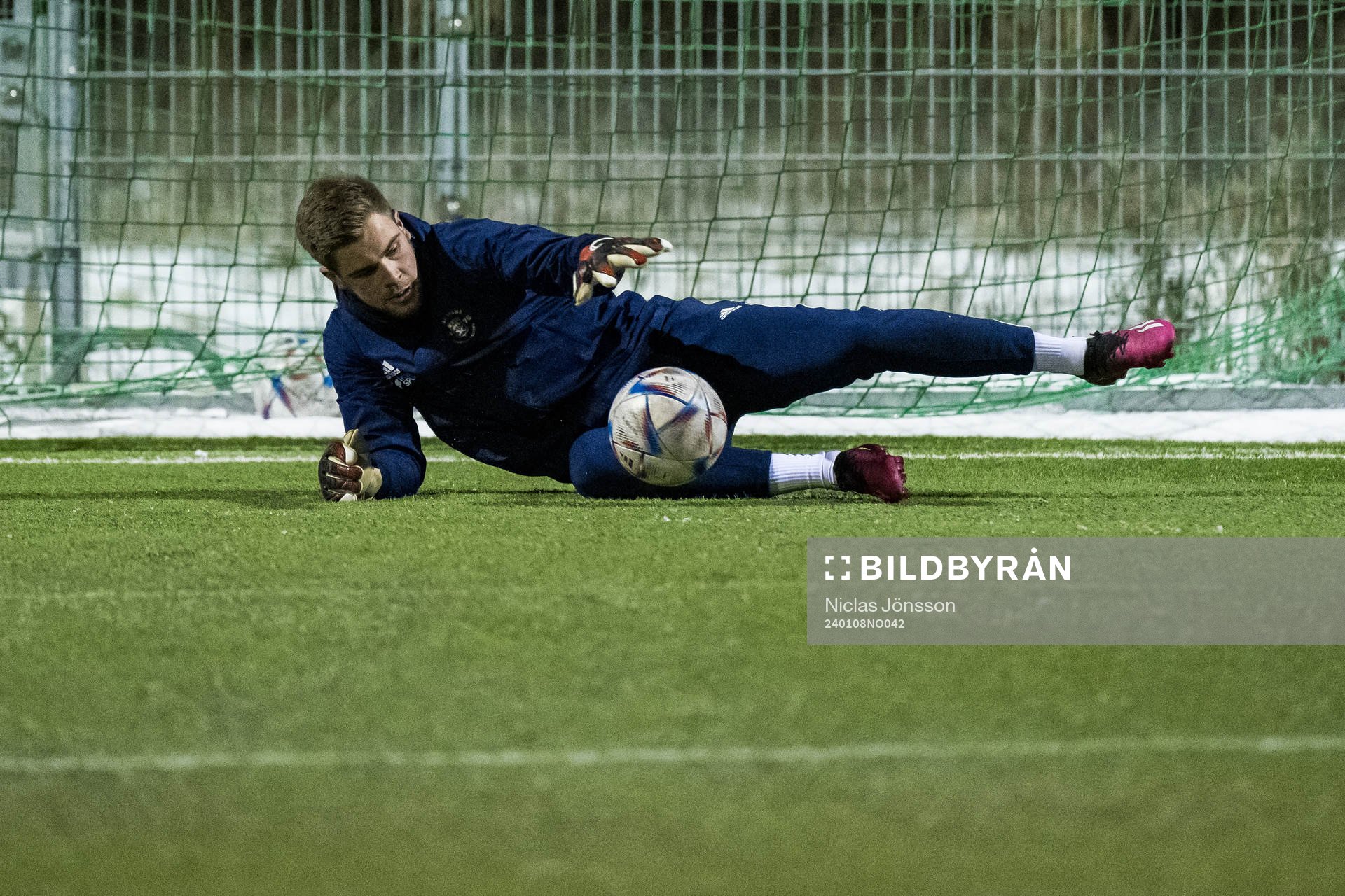 Robin Streifert